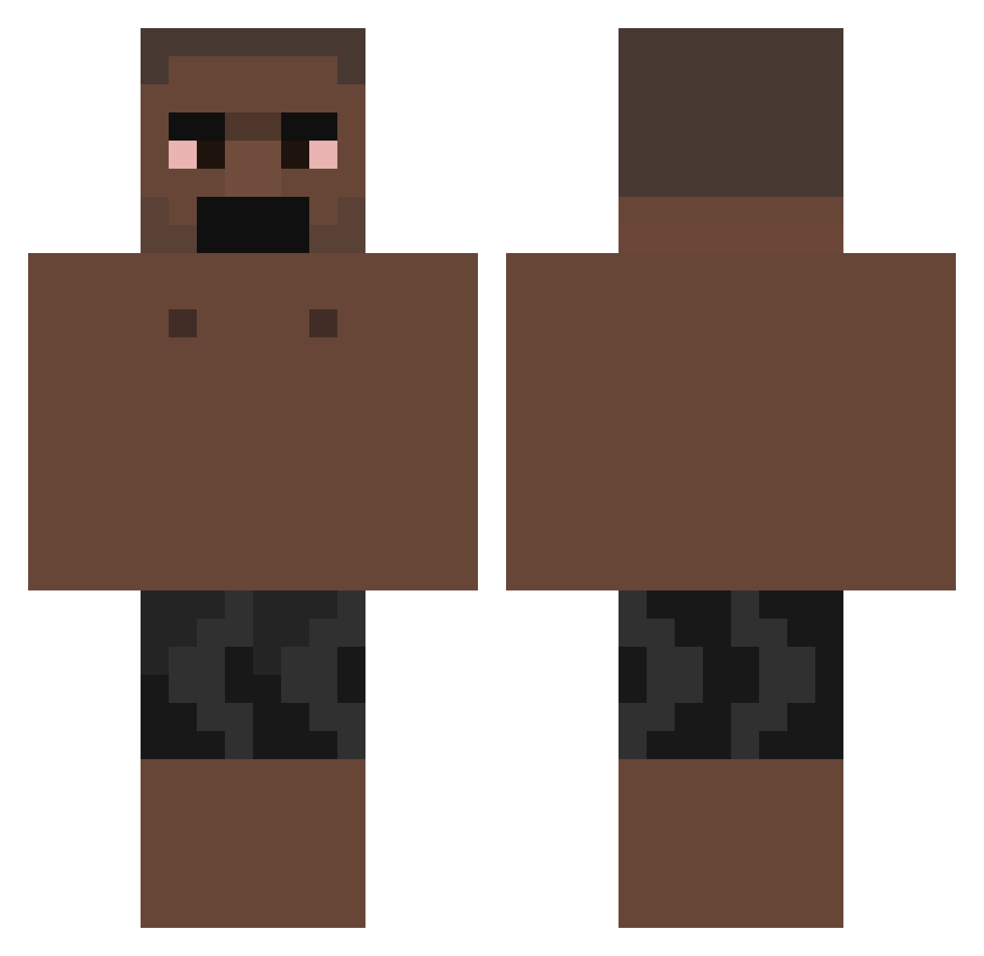 sneakypickler Minecraft skin, front and back view
