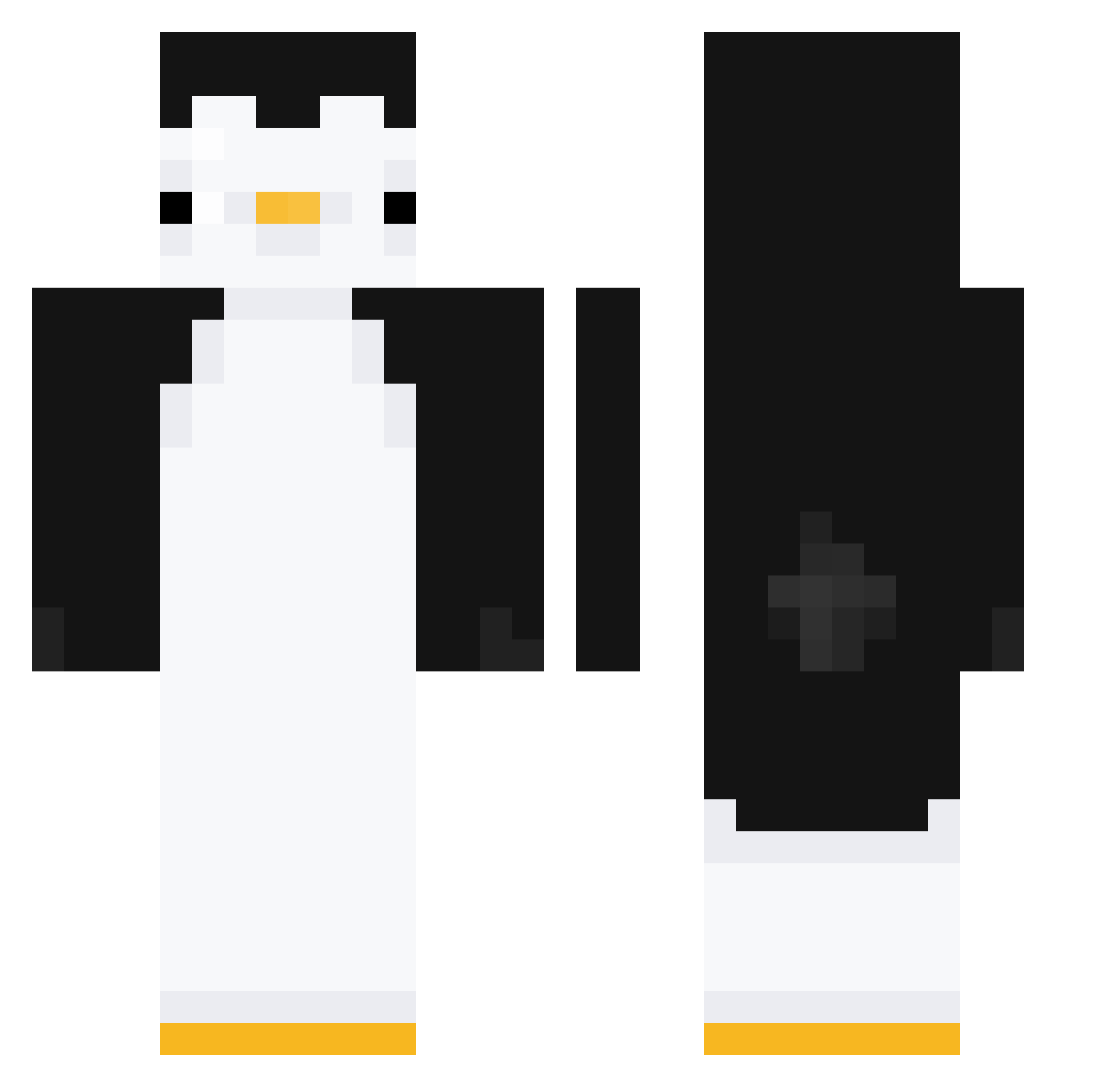 drpenguin1459 Minecraft skin, front and back view
