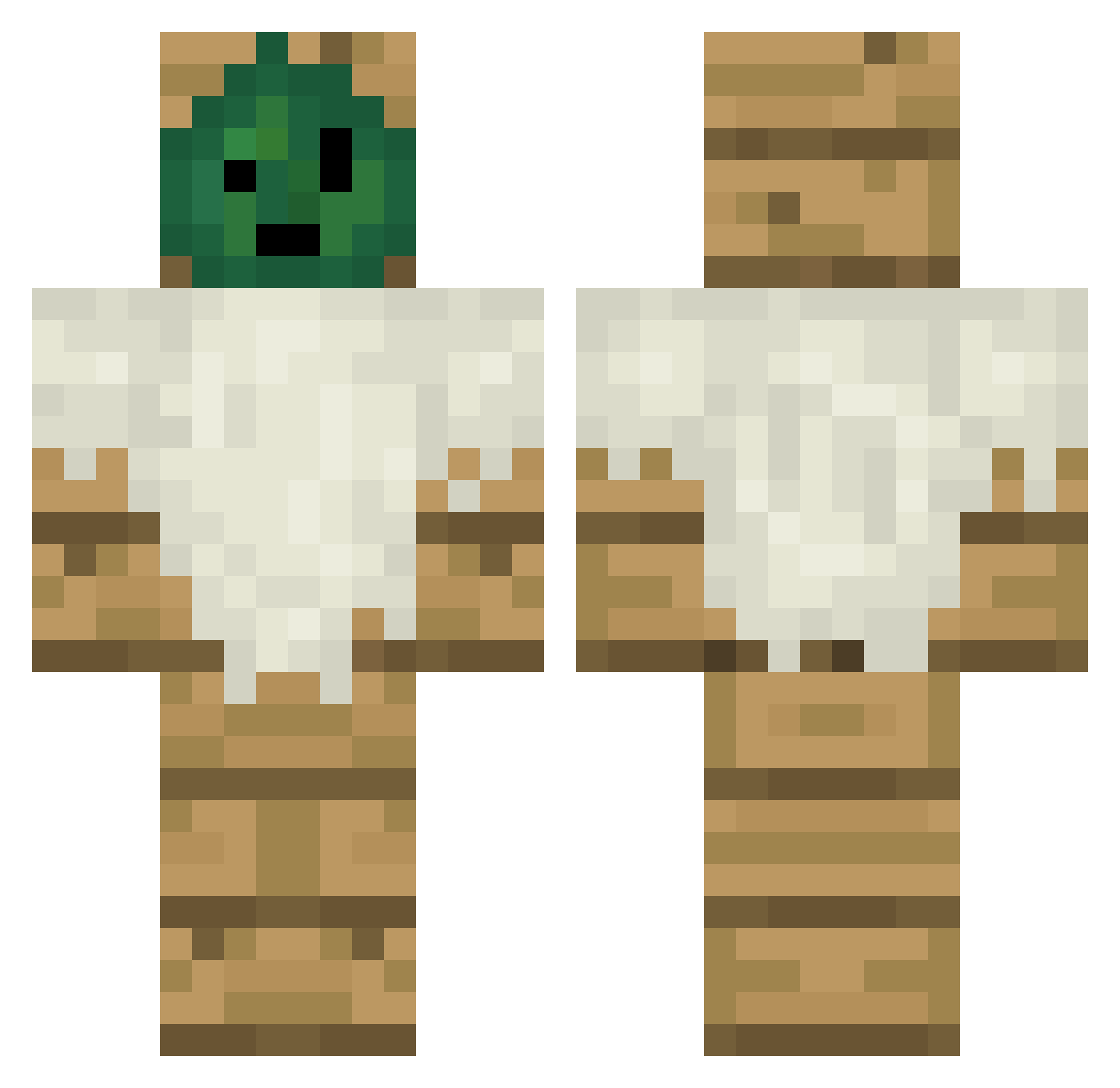 Taillin101 Minecraft skin, front and back view
