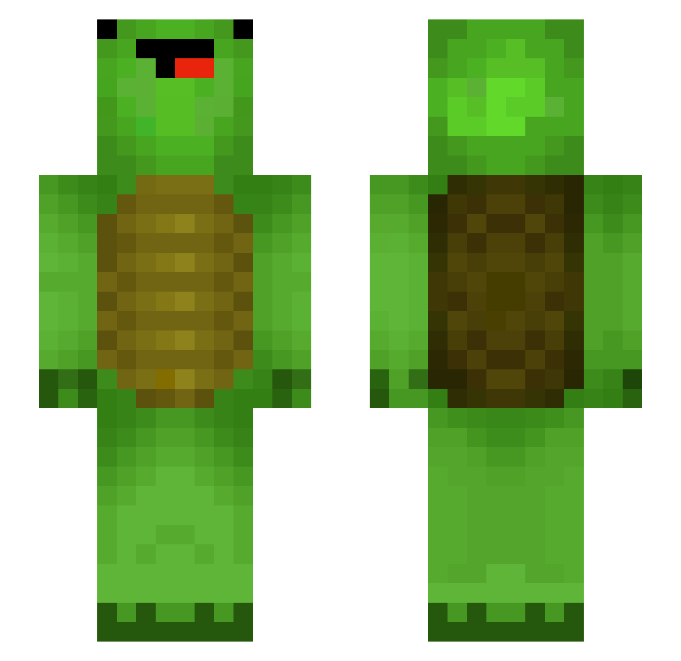 turtls_321 Minecraft skin, front and back view