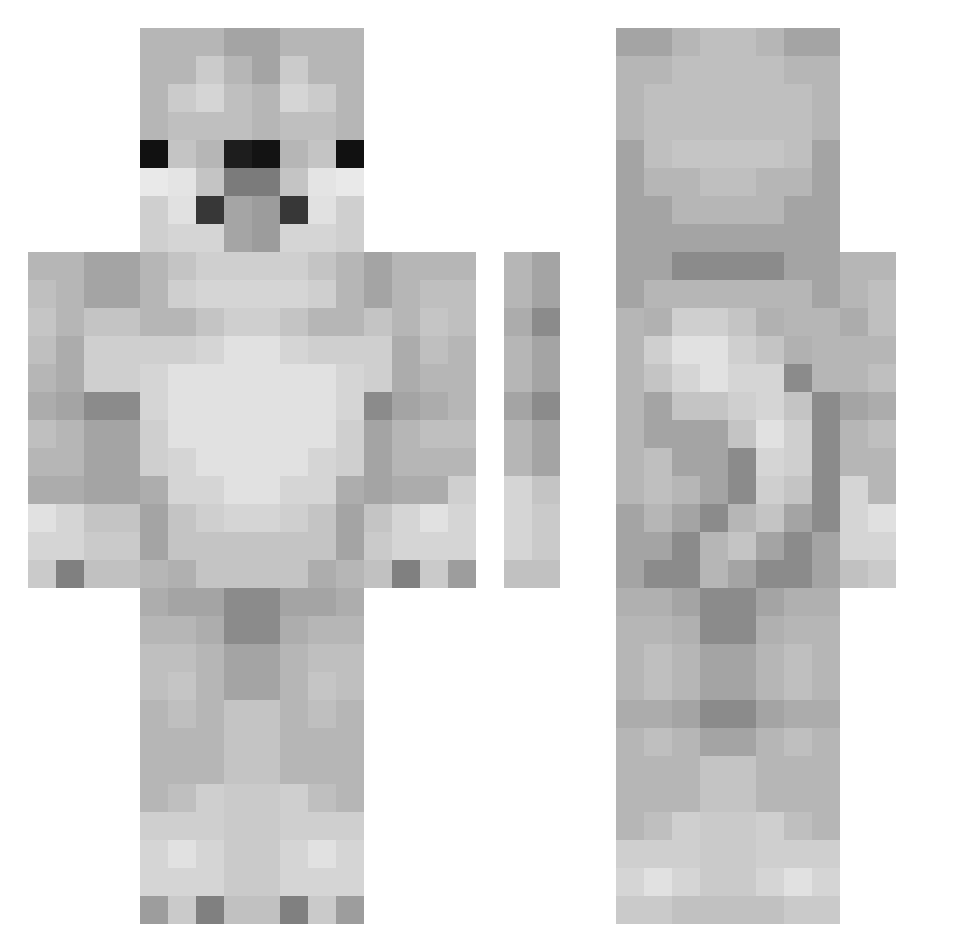 Advisory Minecraft skin, front and back view