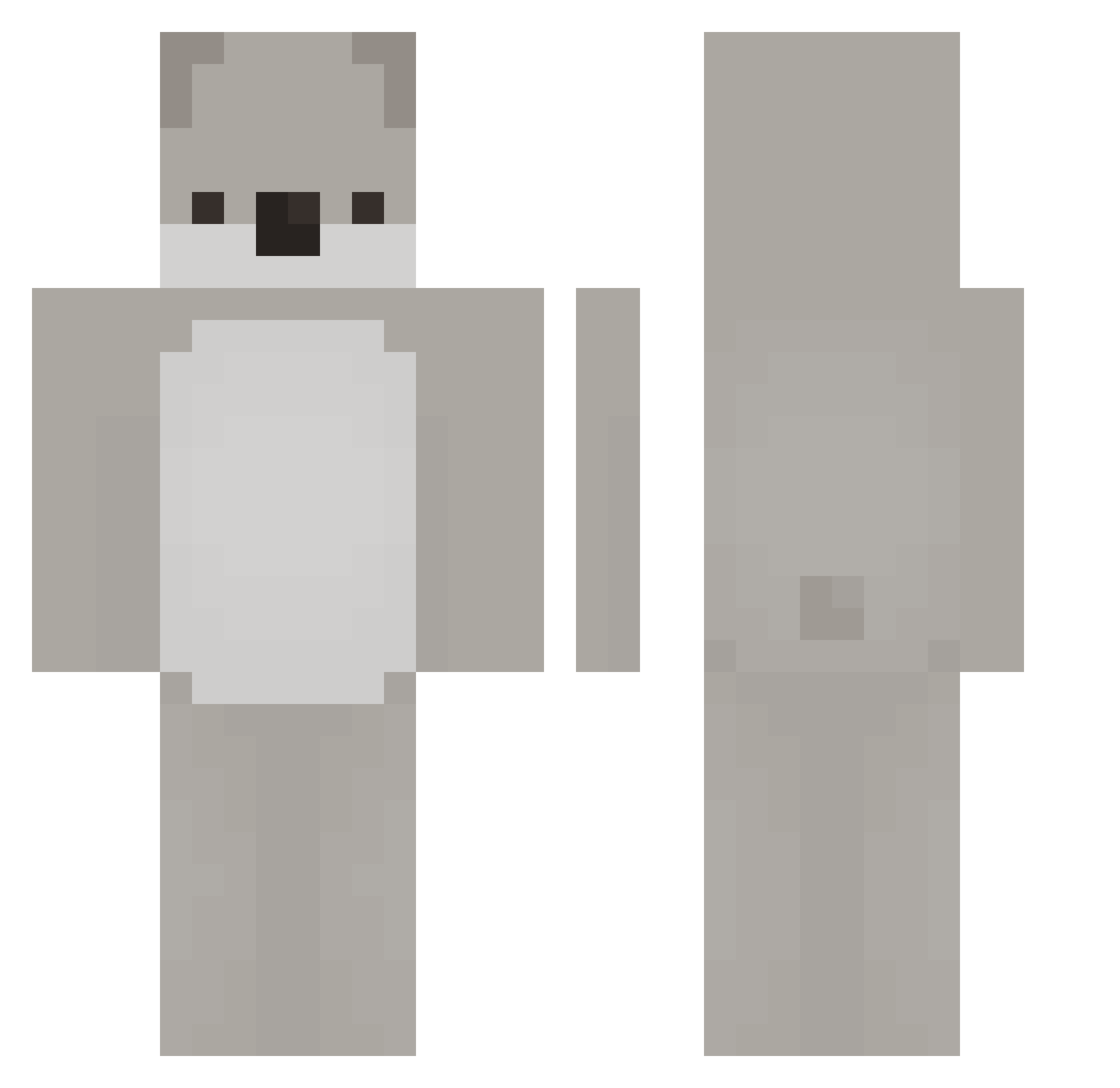 Acoord Minecraft skin, front and back view