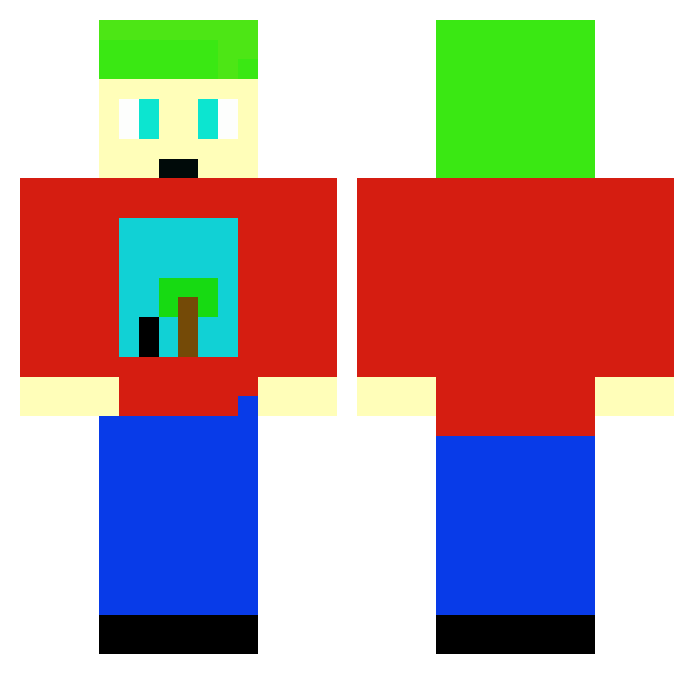 Anth22 Minecraft skin, front and back view