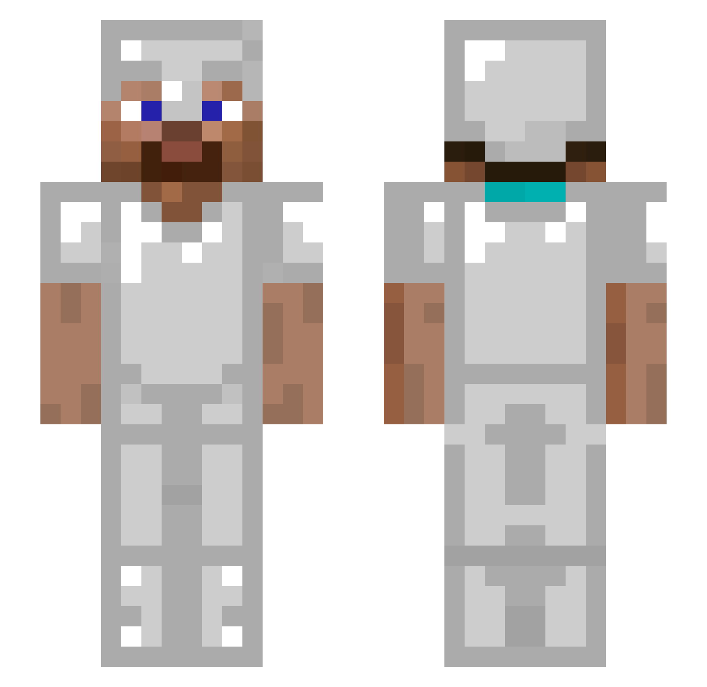 XarDasik Minecraft skin, front and back view
