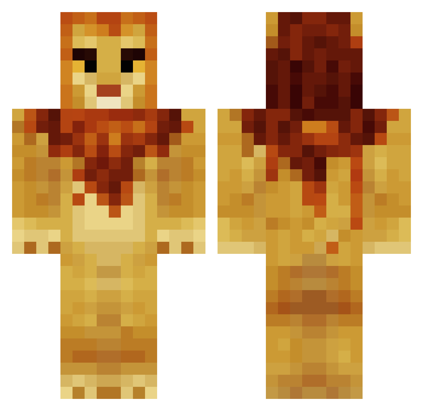 TheLion455 Minecraft skin, front and back view
