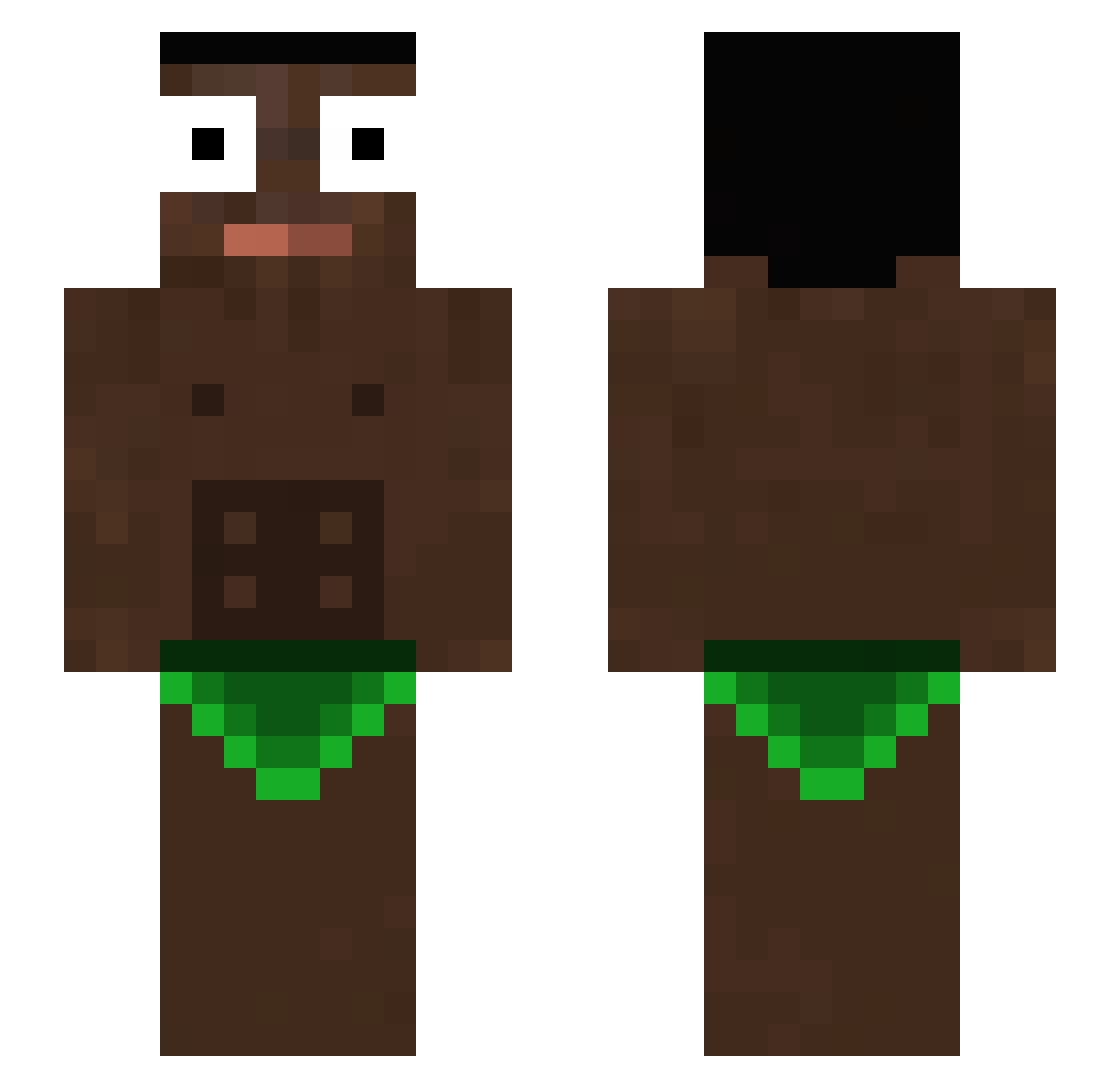 Disolista Minecraft skin, front and back view