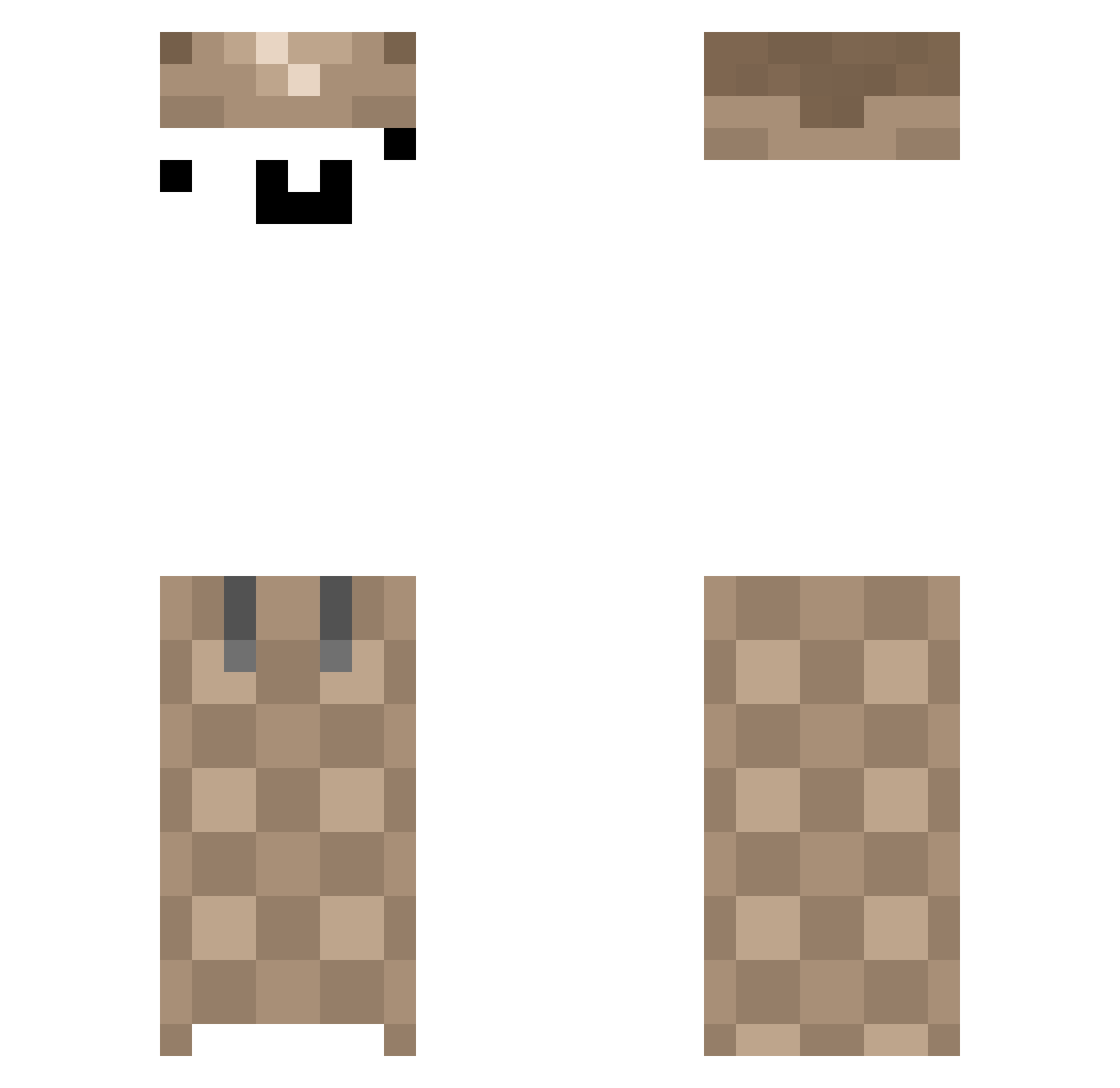 stattiicc Minecraft skin, front and back view