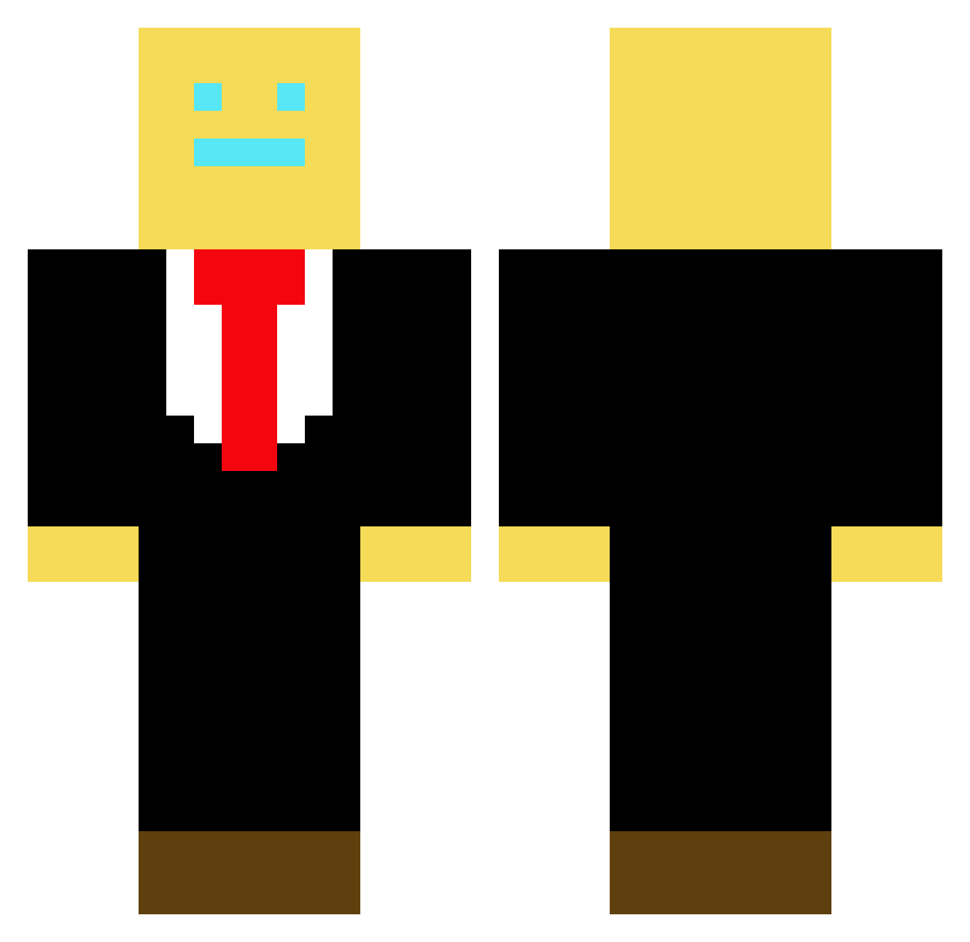 ProBLR Minecraft skin, front and back view