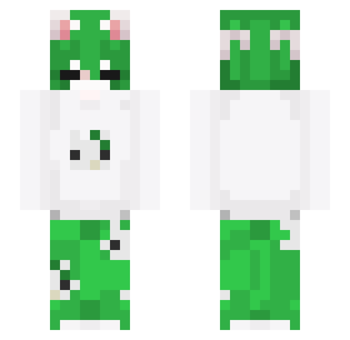 qa_____ Minecraft skin, front and back view