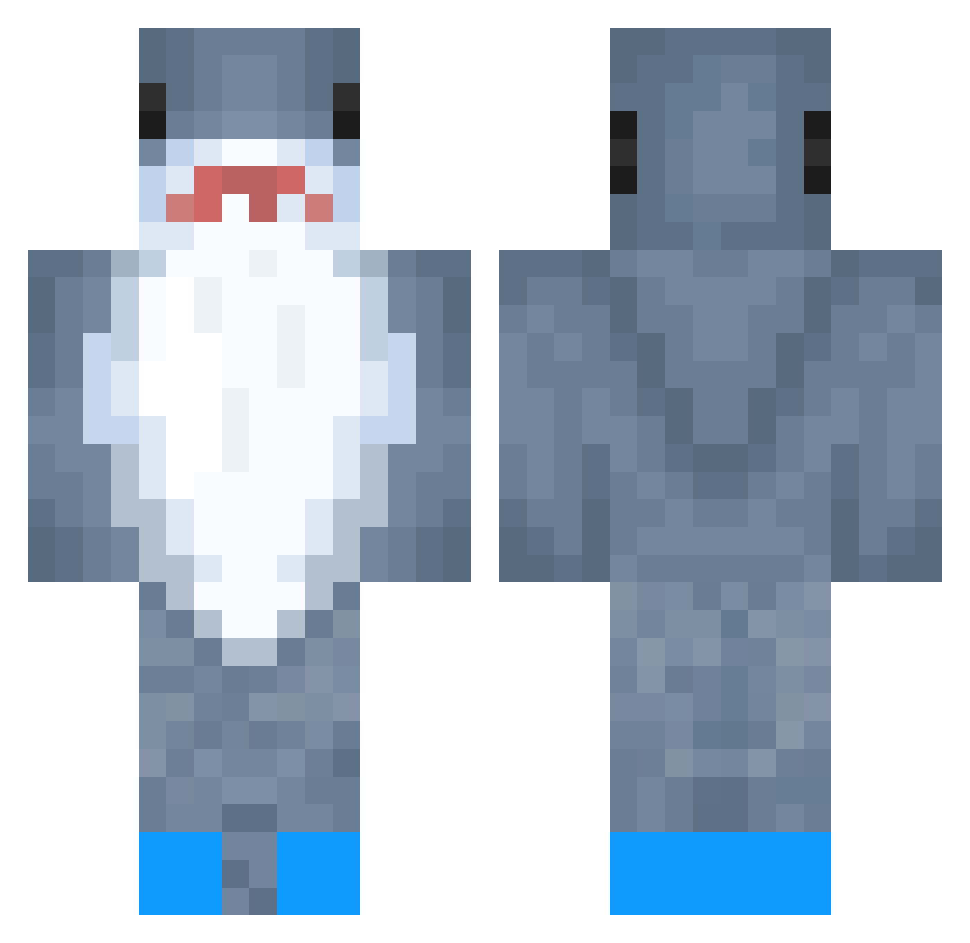 tapitapia Minecraft skin, front and back view