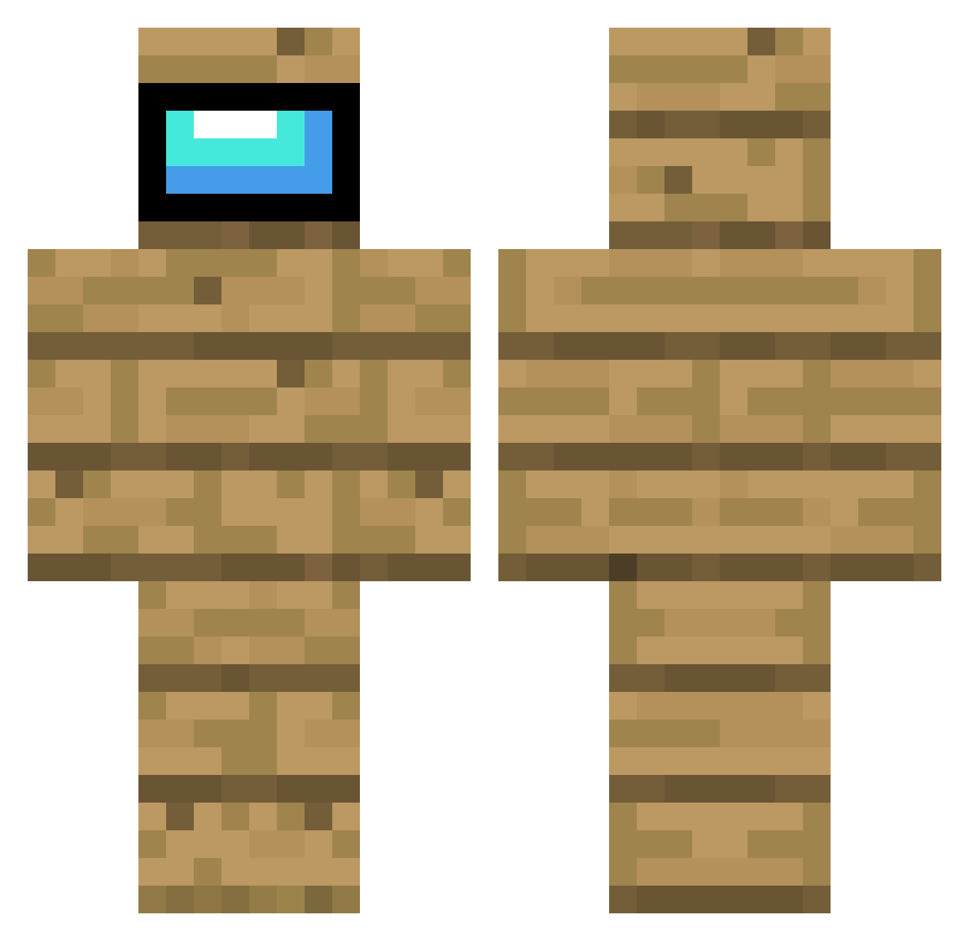 _steeee_ Minecraft skin, front and back view