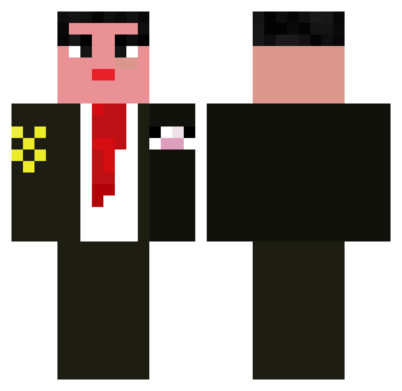 shusha08 Minecraft skin, front and back view