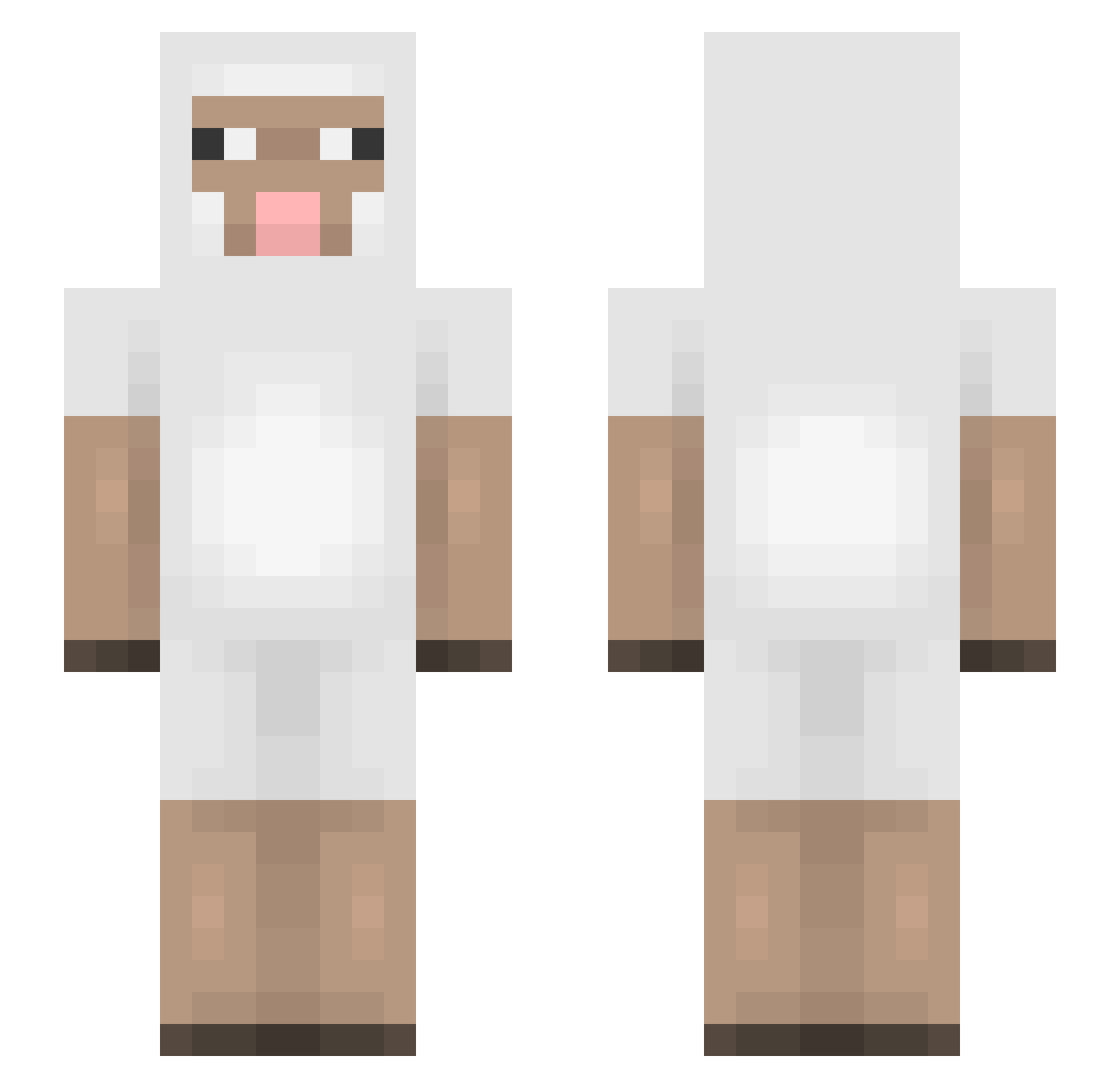 schaapie007 Minecraft skin, front and back view