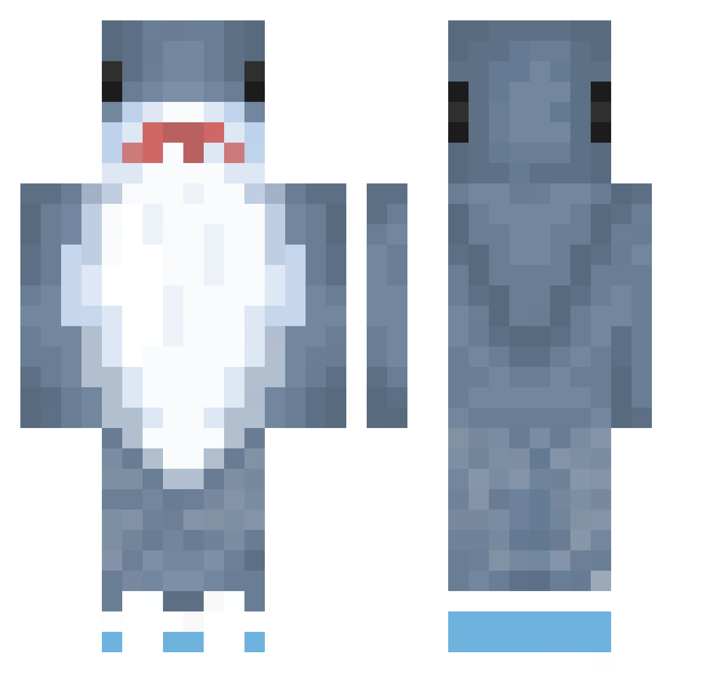 dino_nugget27 Minecraft skin, front and back view