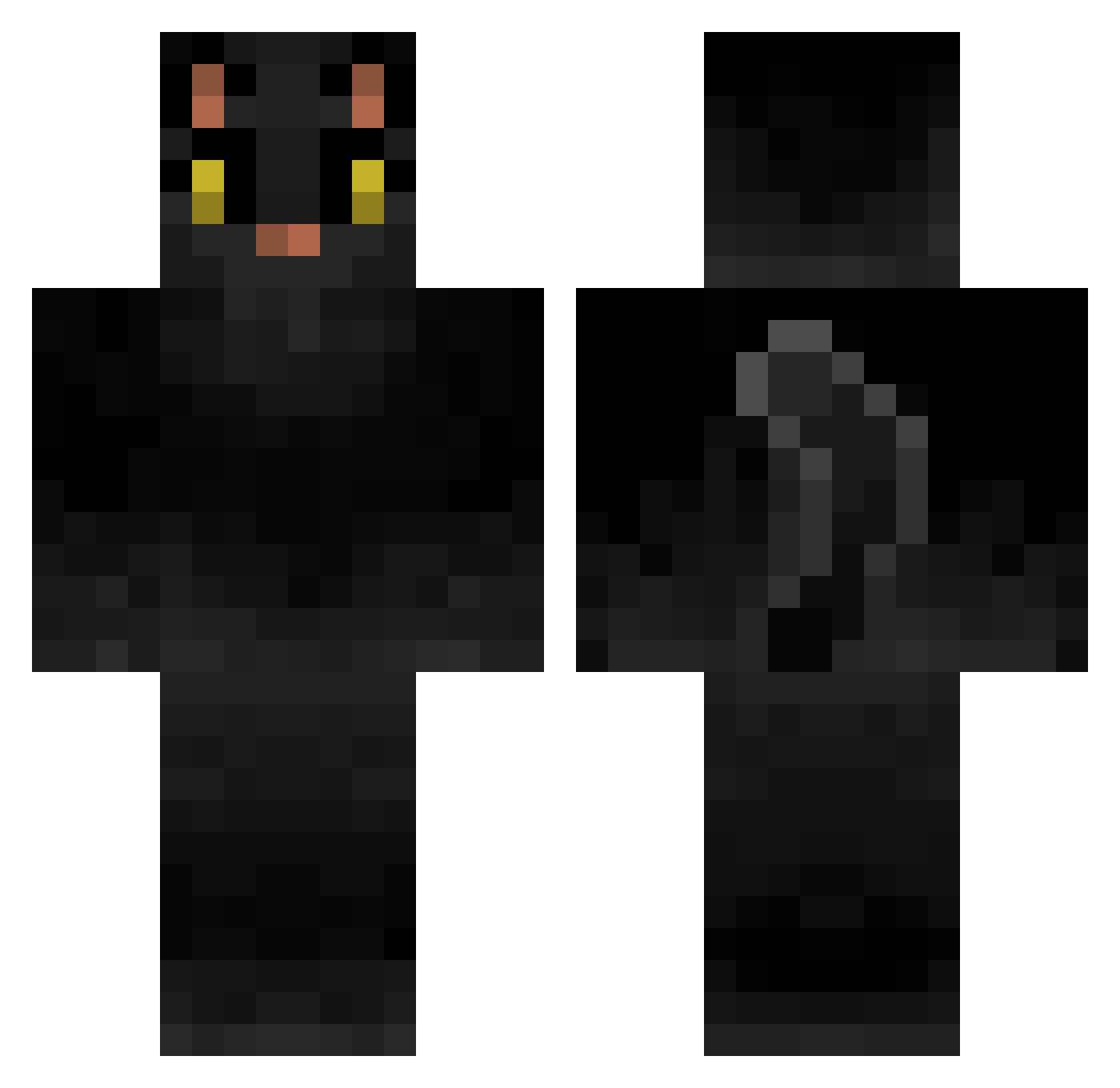 Vedene Minecraft skin, front and back view