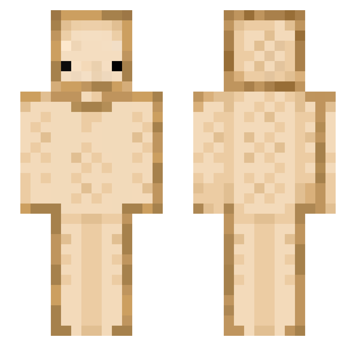 IR_Toasti Minecraft skin, front and back view