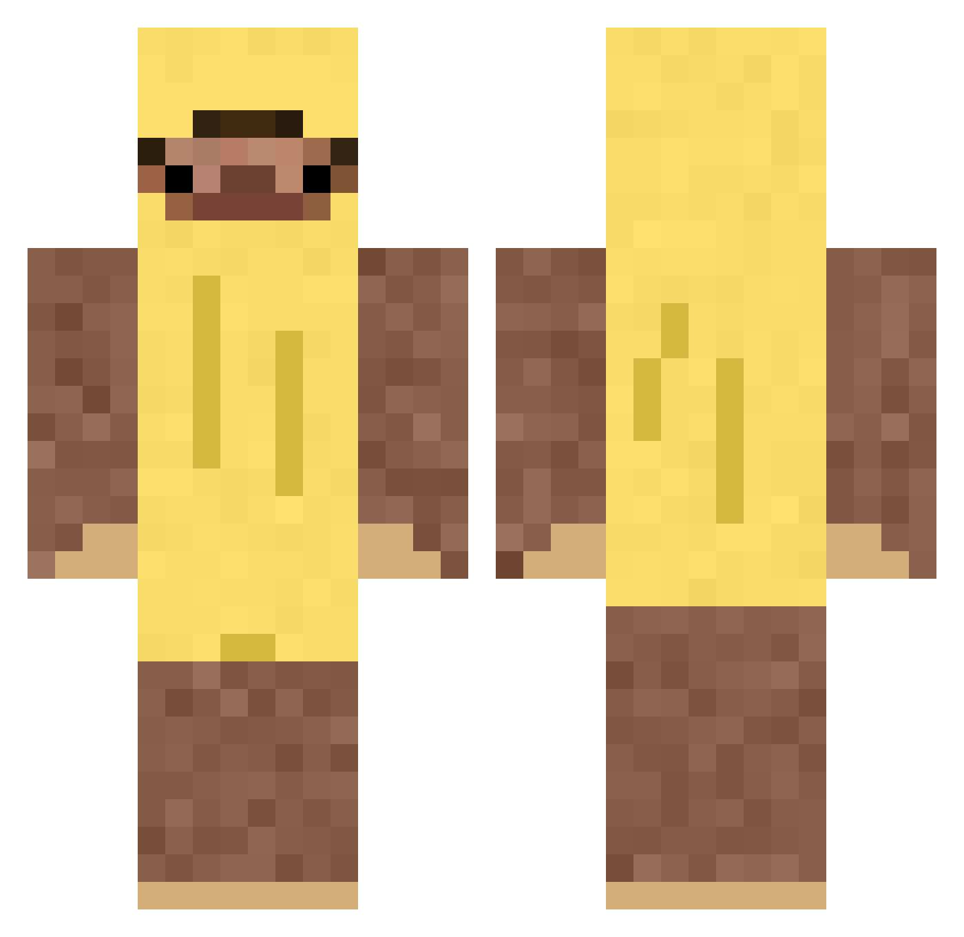 arqv1 Minecraft skin, front and back view