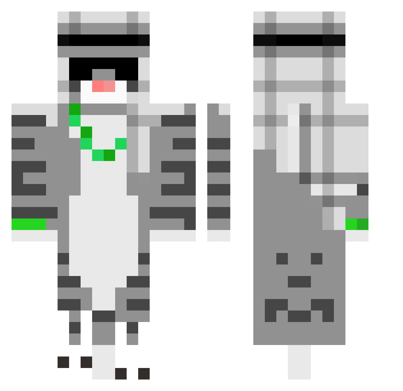 ScearyTheCat Minecraft skin, front and back view