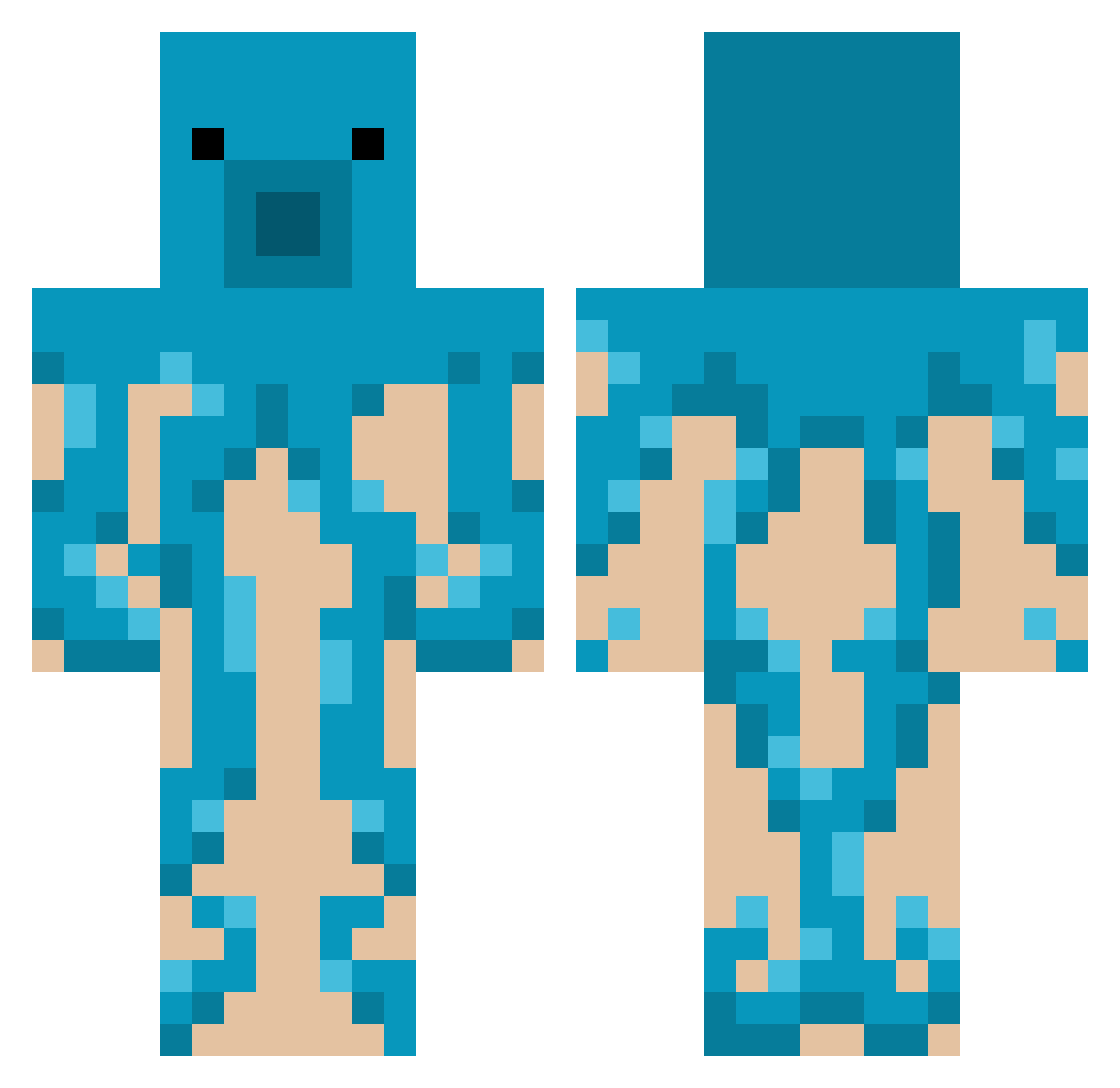 joo789 Minecraft skin, front and back view