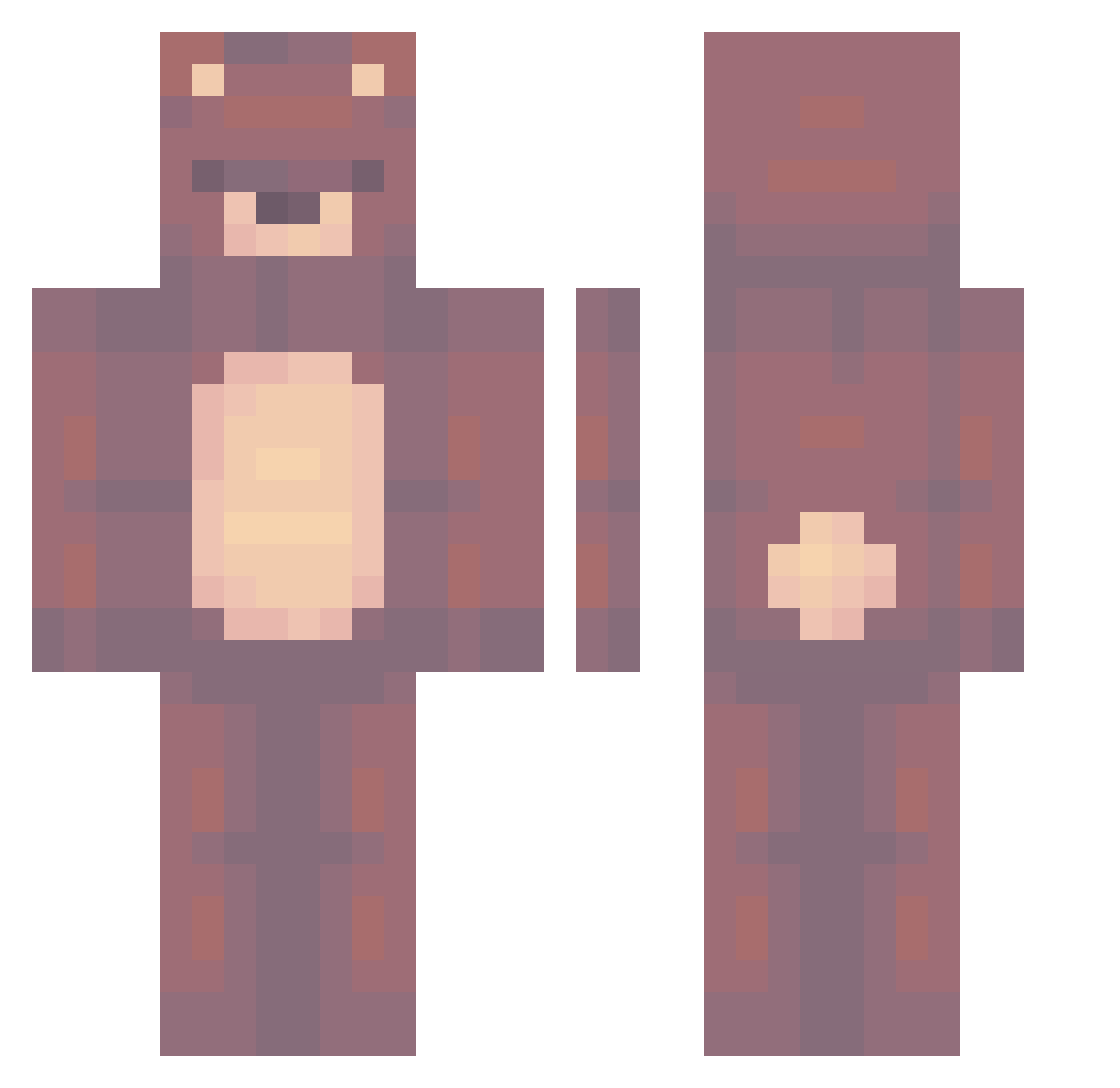 wiredraw Minecraft skin, front and back view