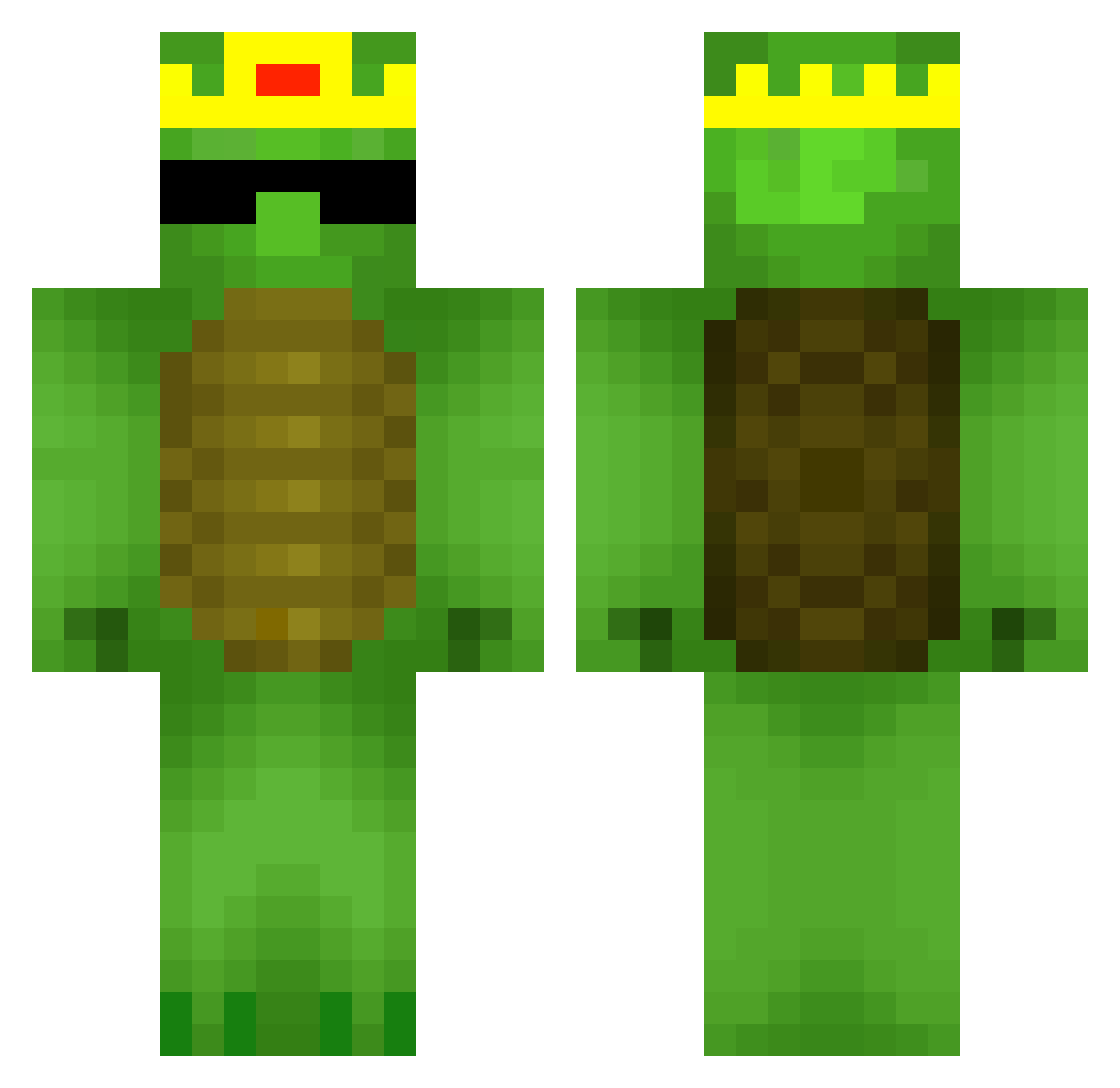 Tortlz Minecraft skin, front and back view