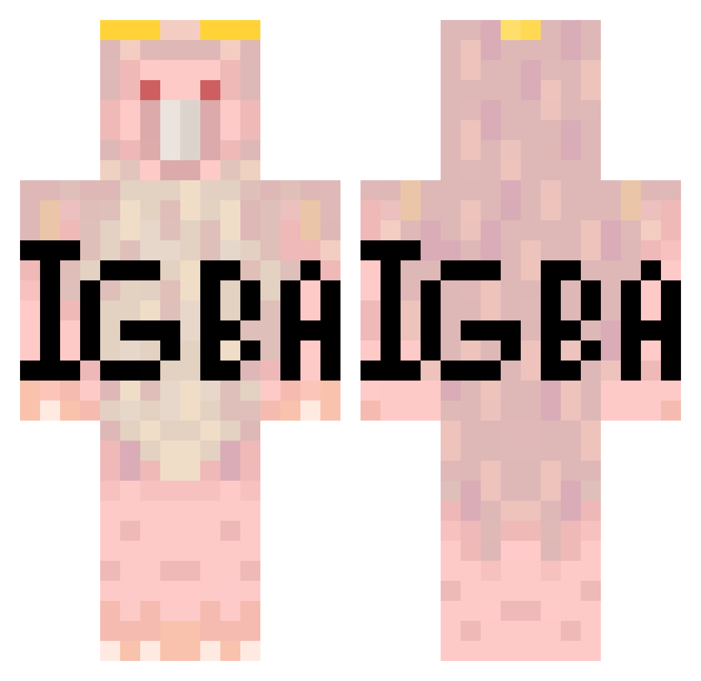 iomentis Minecraft skin, front and back view