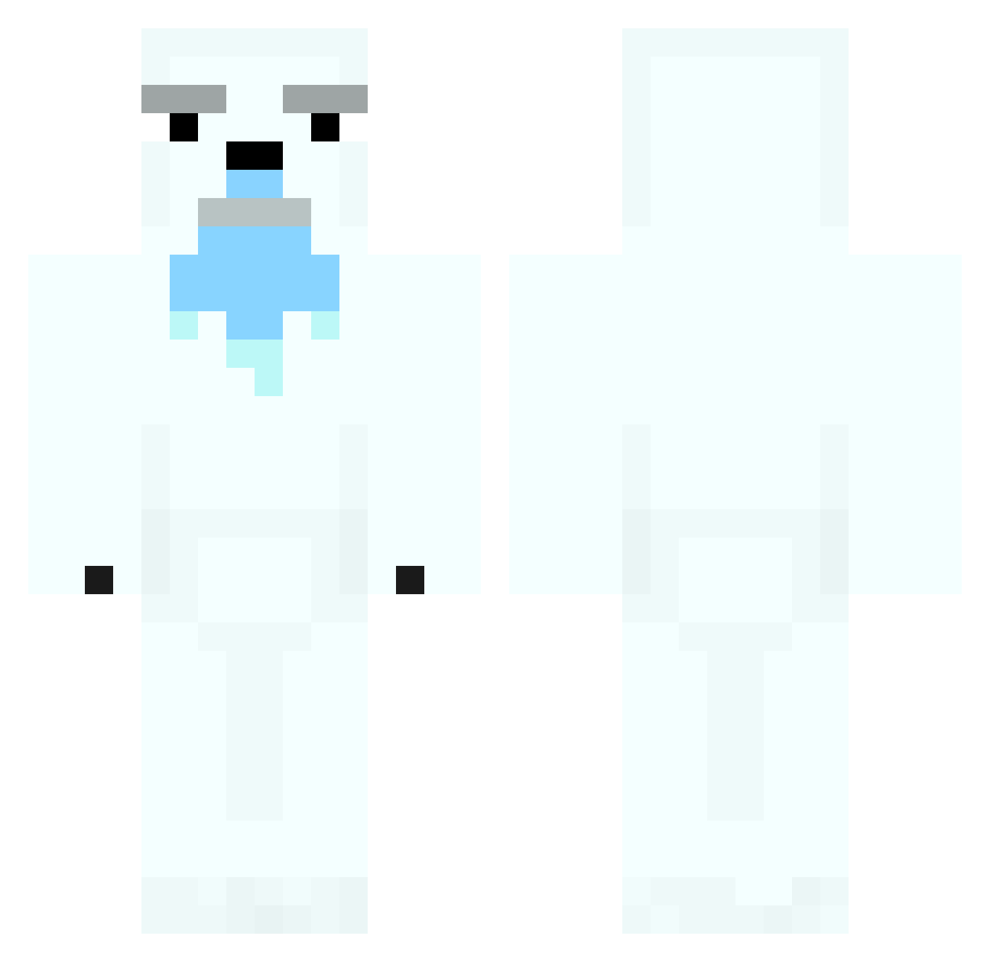 polarvz Minecraft skin, front and back view