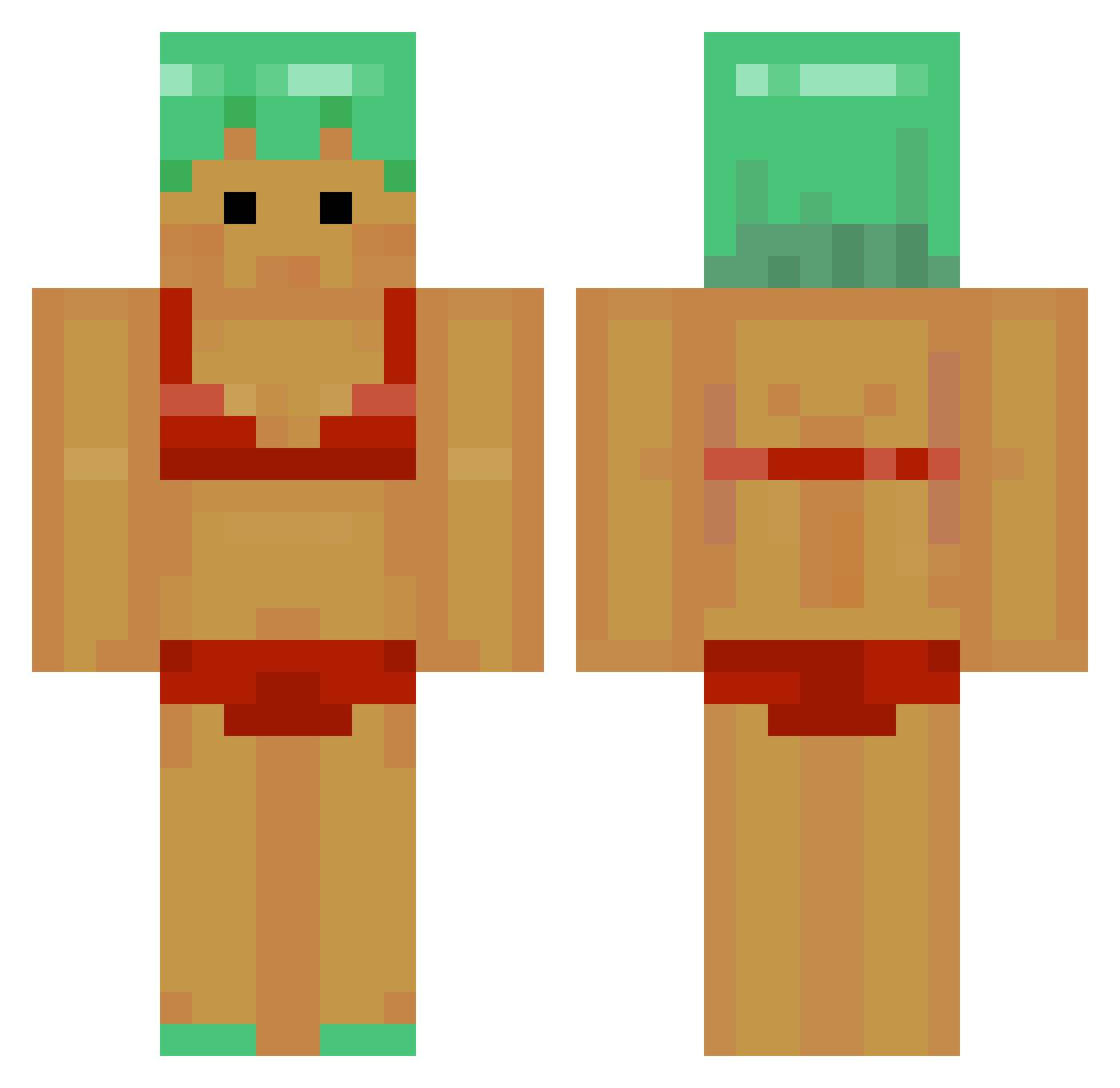 PassNon Minecraft skin, front and back view