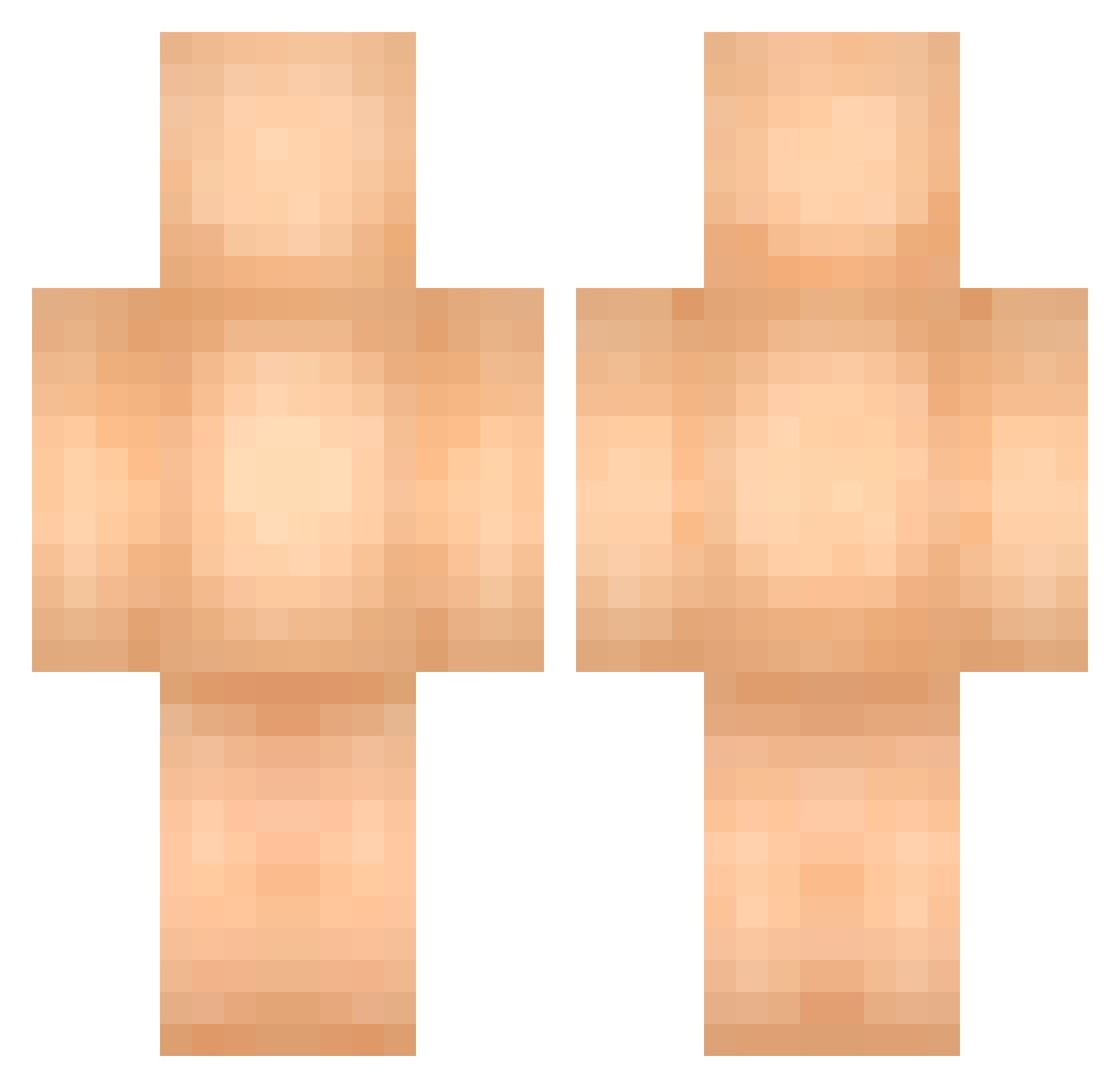 Subscribed Minecraft skin, front and back view