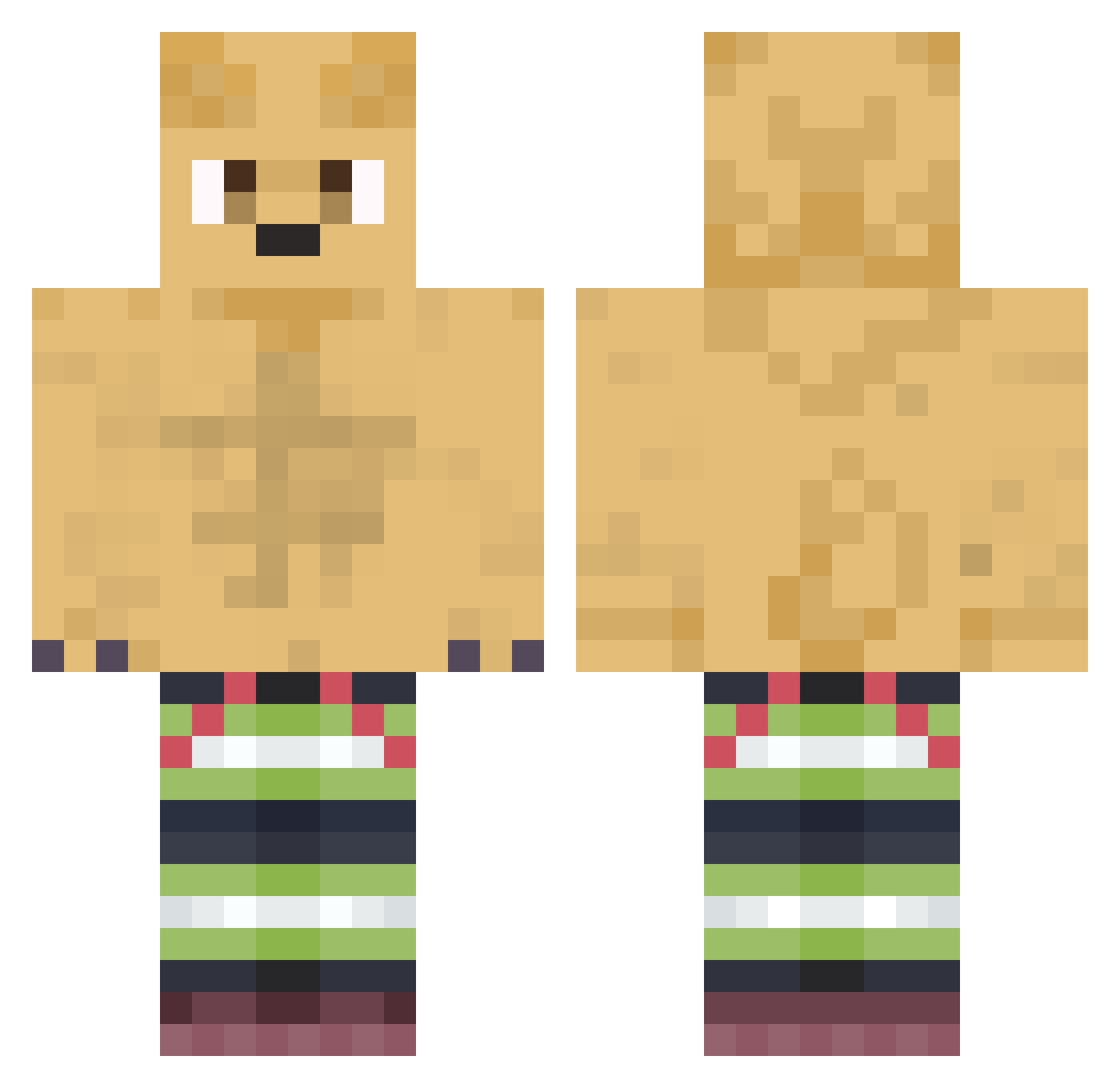 sayar100 Minecraft skin, front and back view