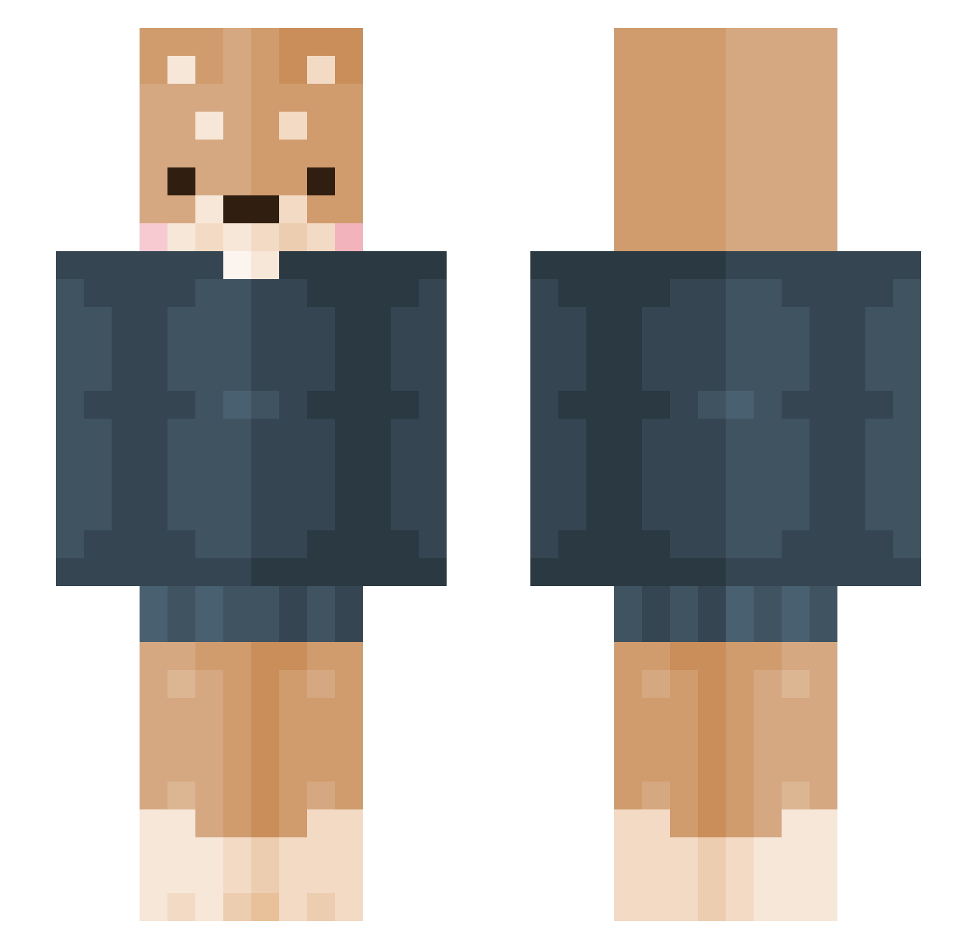 Toastz9499 Minecraft skin, front and back view