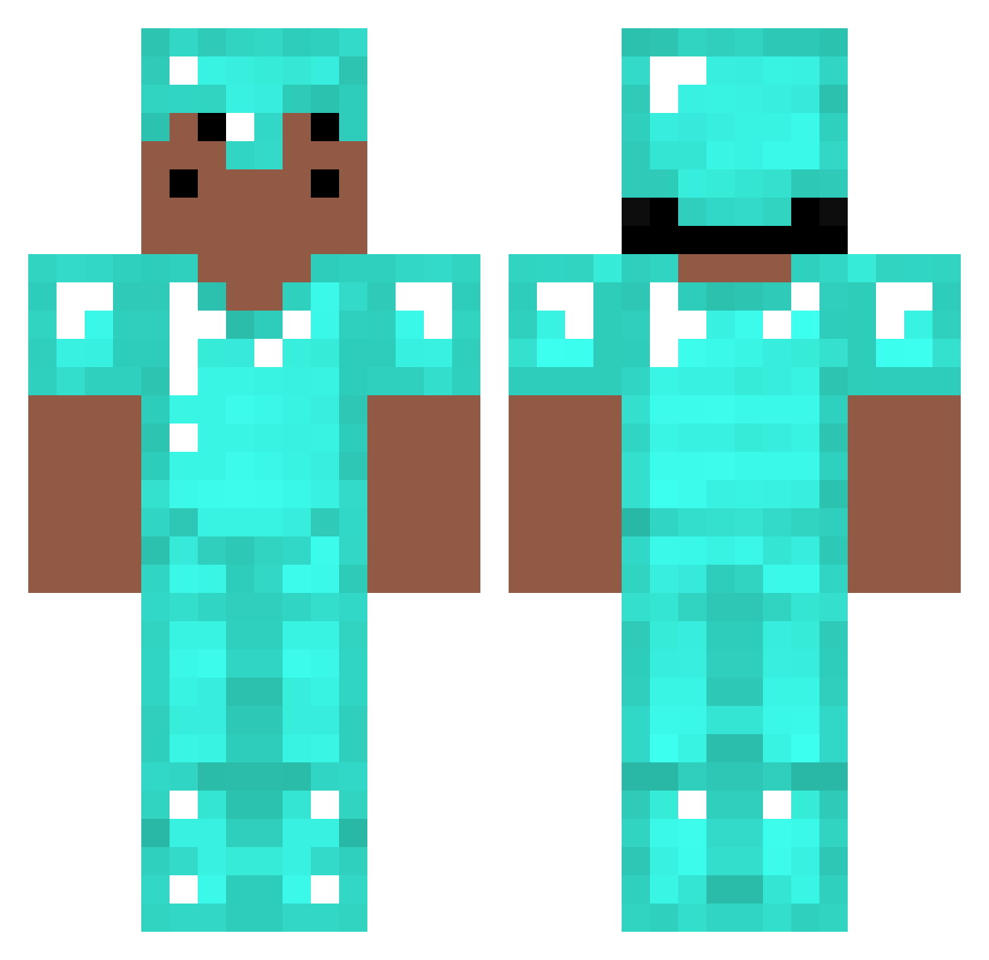 Requirements Minecraft skin, front and back view