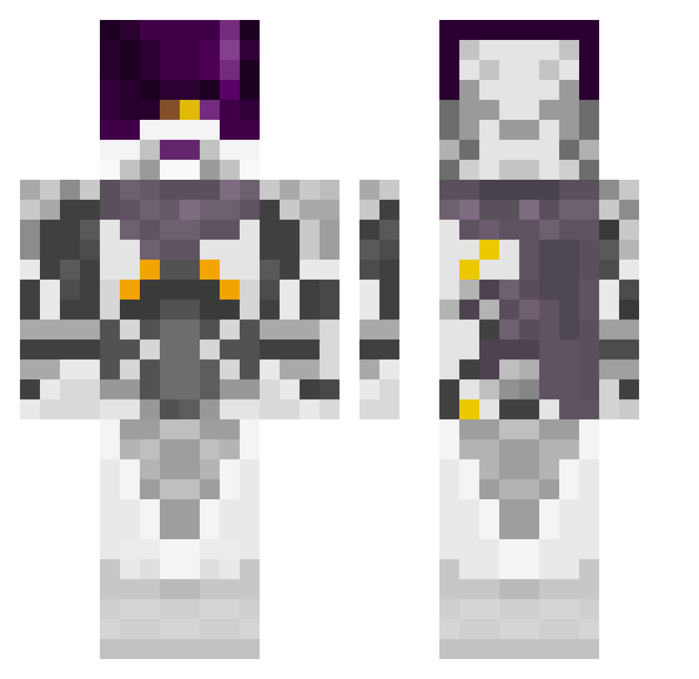 felix_lechat01 Minecraft skin, front and back view