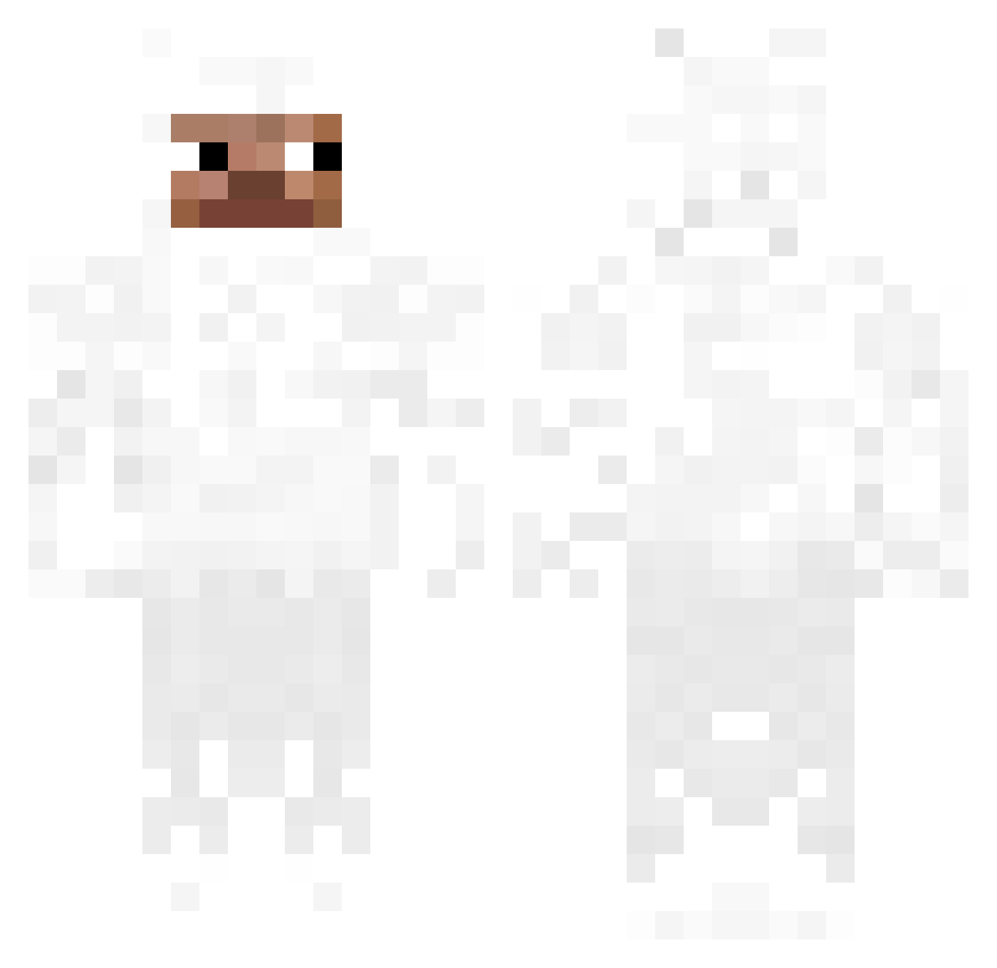 trakcja Minecraft skin, front and back view