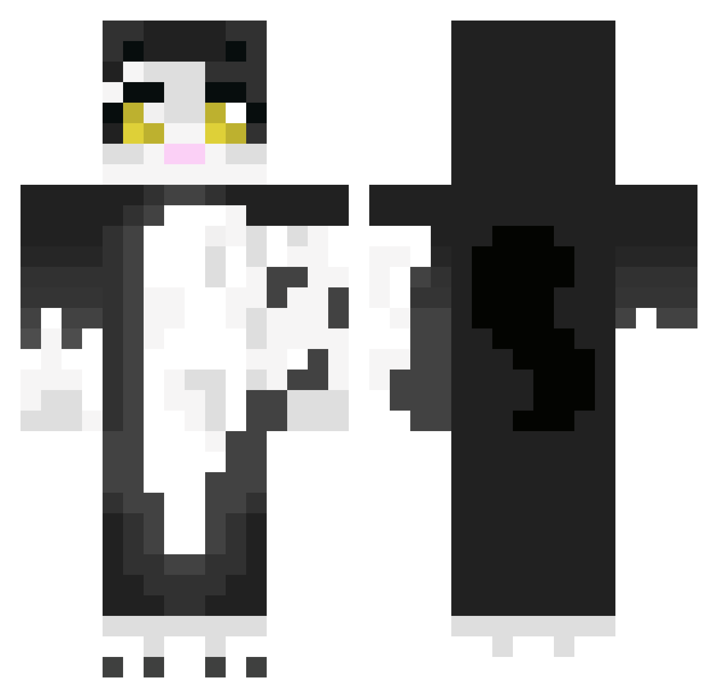 Vortex_YT_fr Minecraft skin, front and back view
