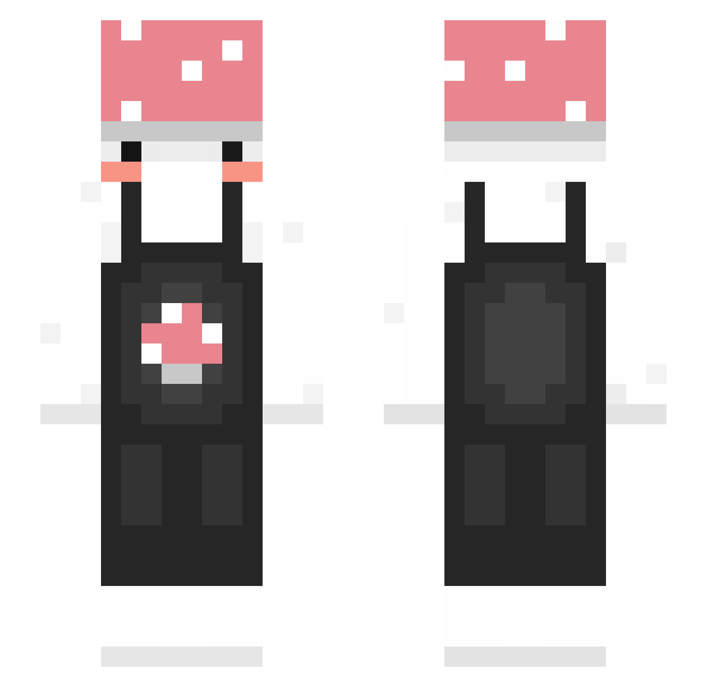 2sx Minecraft skin, front and back view