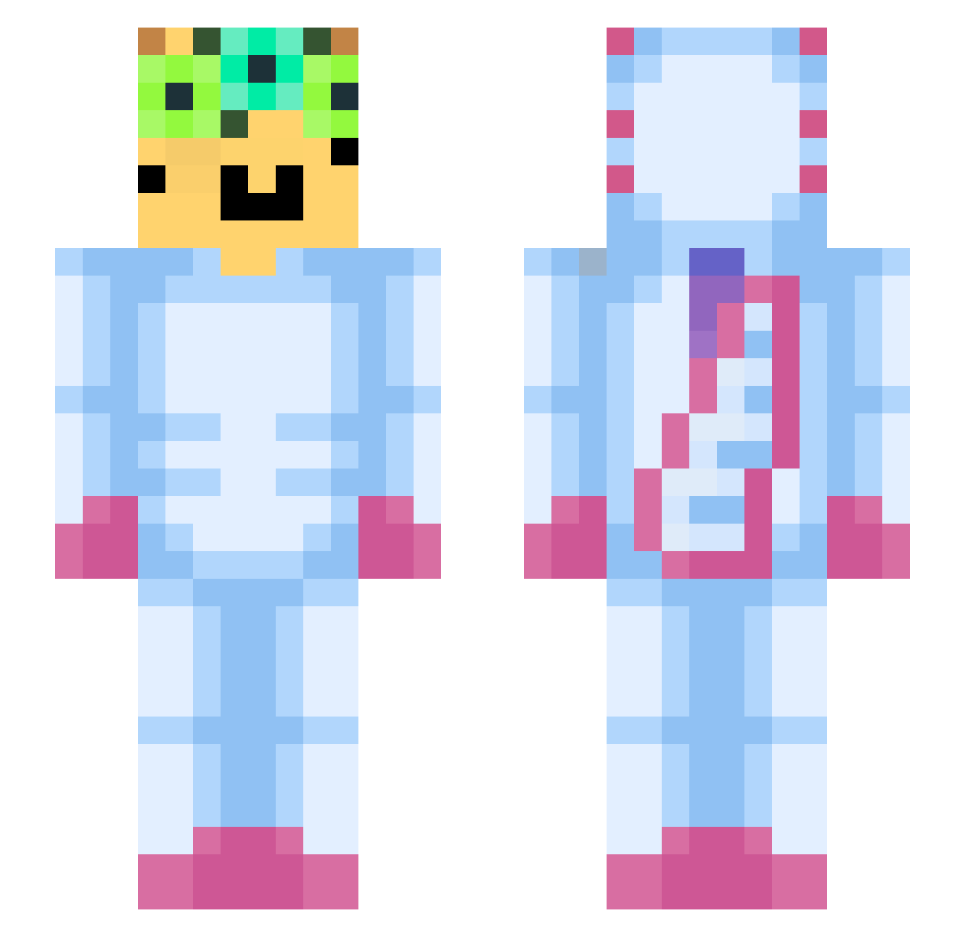 Typloo Minecraft skin, front and back view