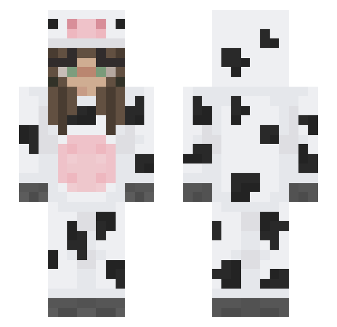 Diecimila Minecraft skin, front and back view