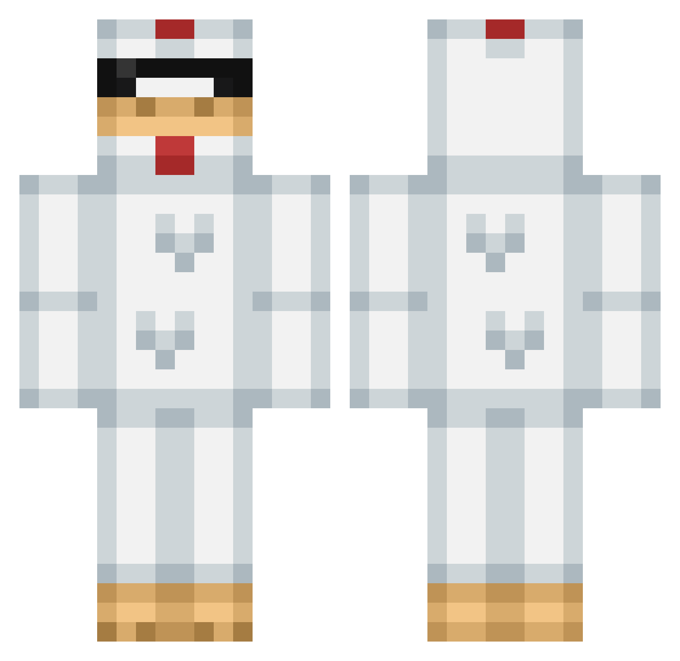 Ankan9 Minecraft skin, front and back view