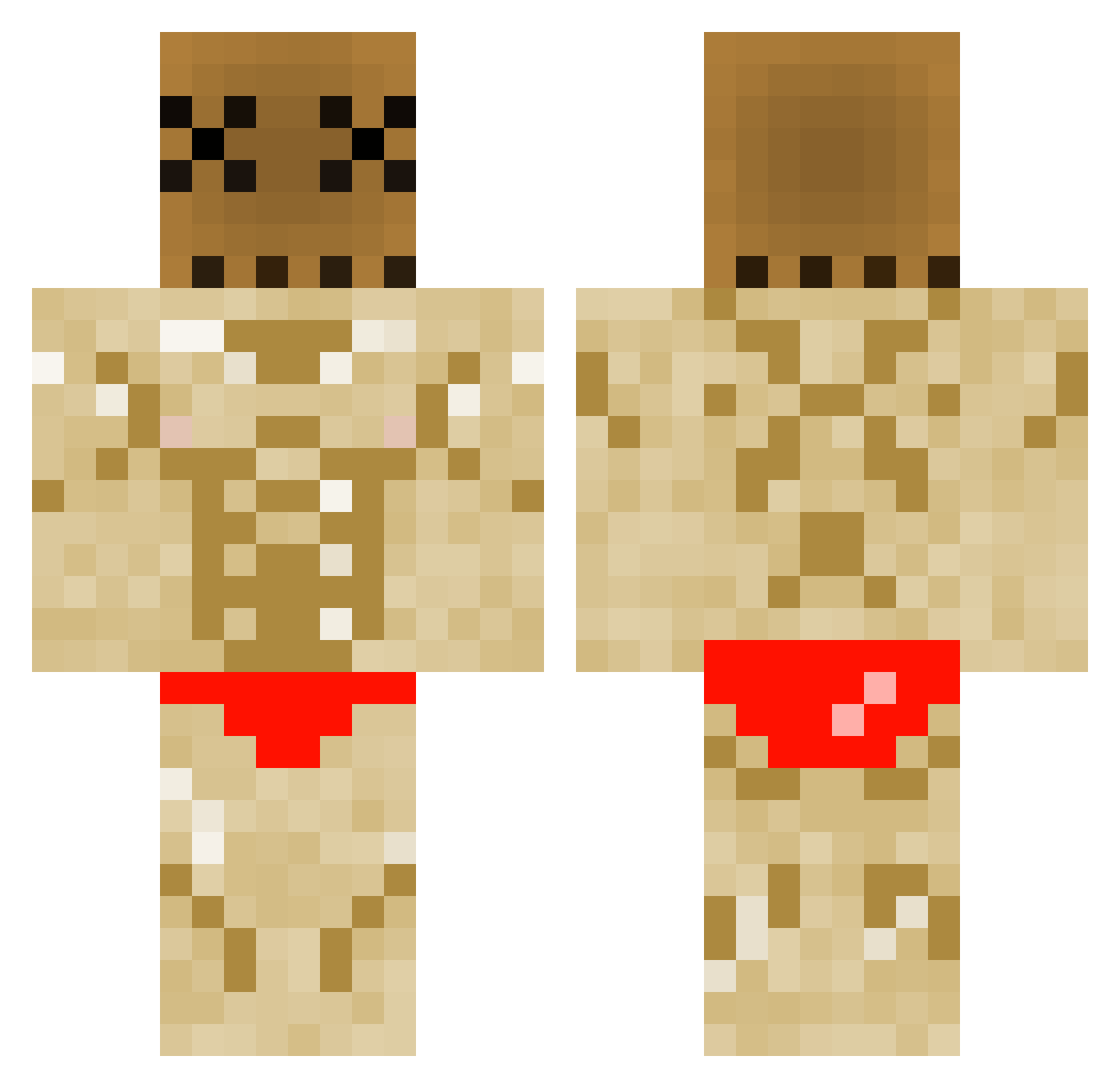 GdogPlayz1 Minecraft skin, front and back view