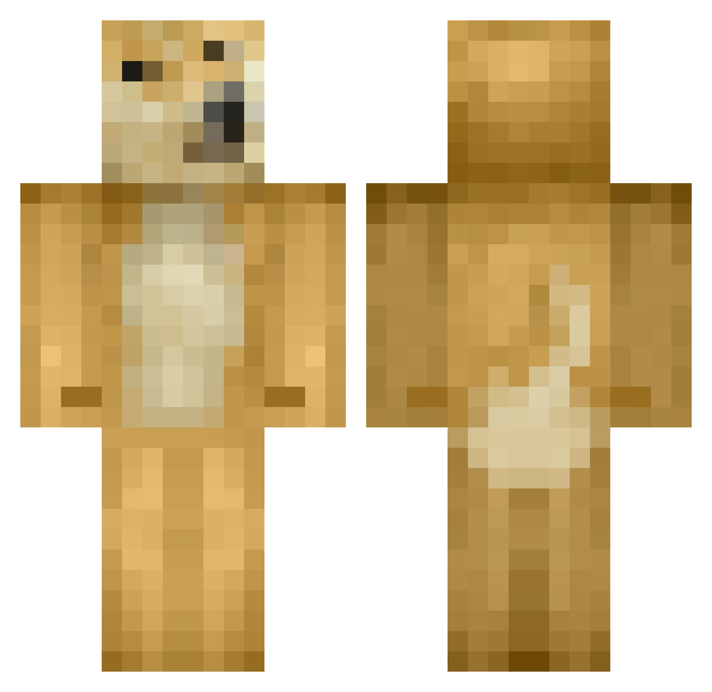 T0MaT0__ Minecraft skin, front and back view