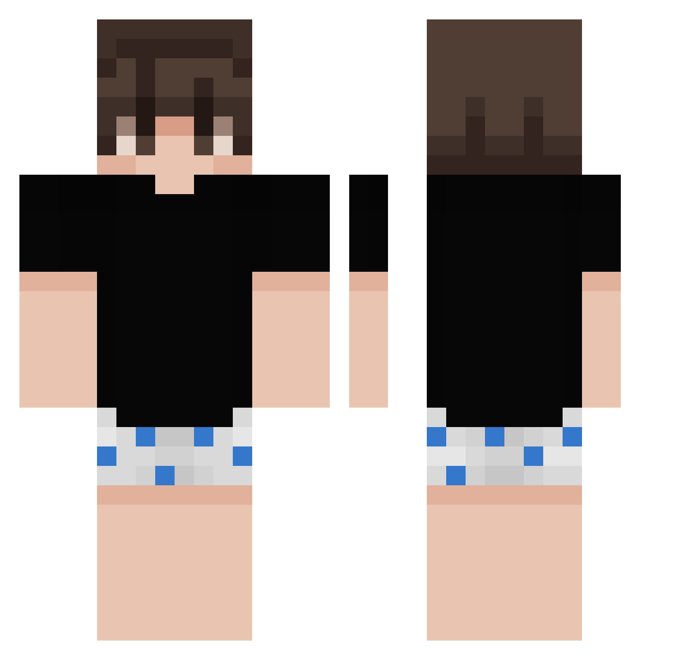 falzonecat Minecraft skin, front and back view