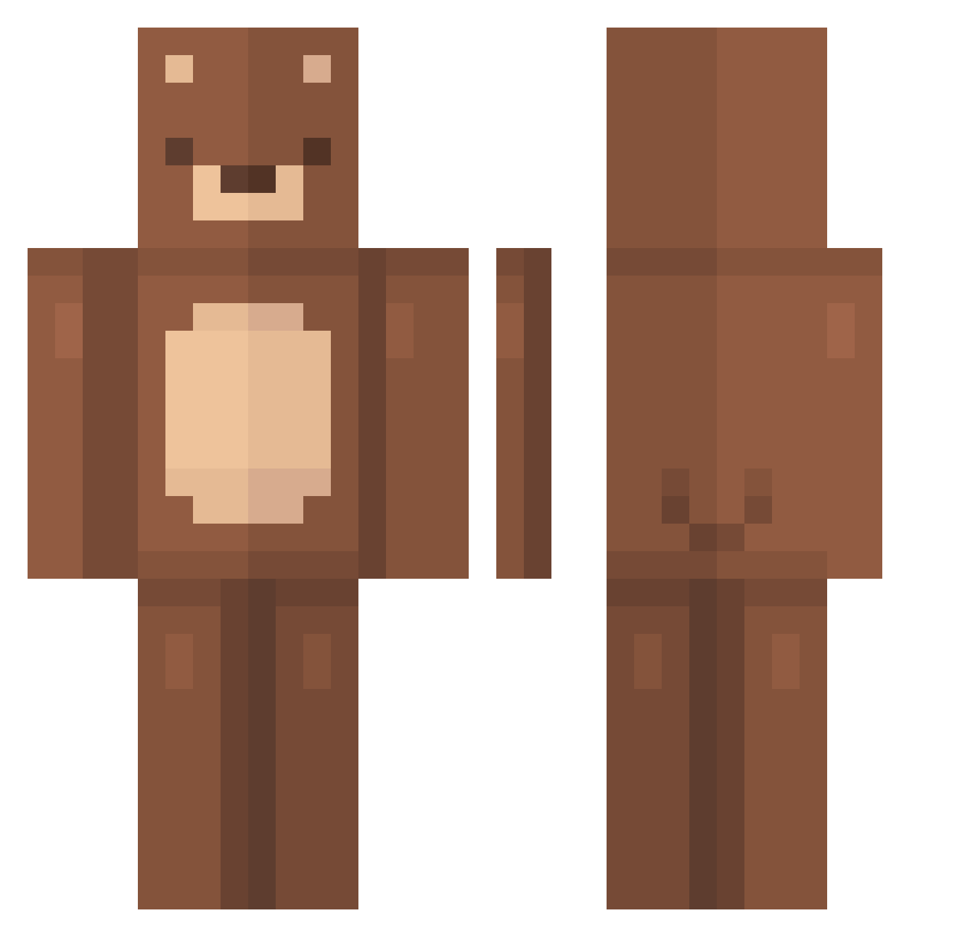 DHCB Minecraft skin, front and back view