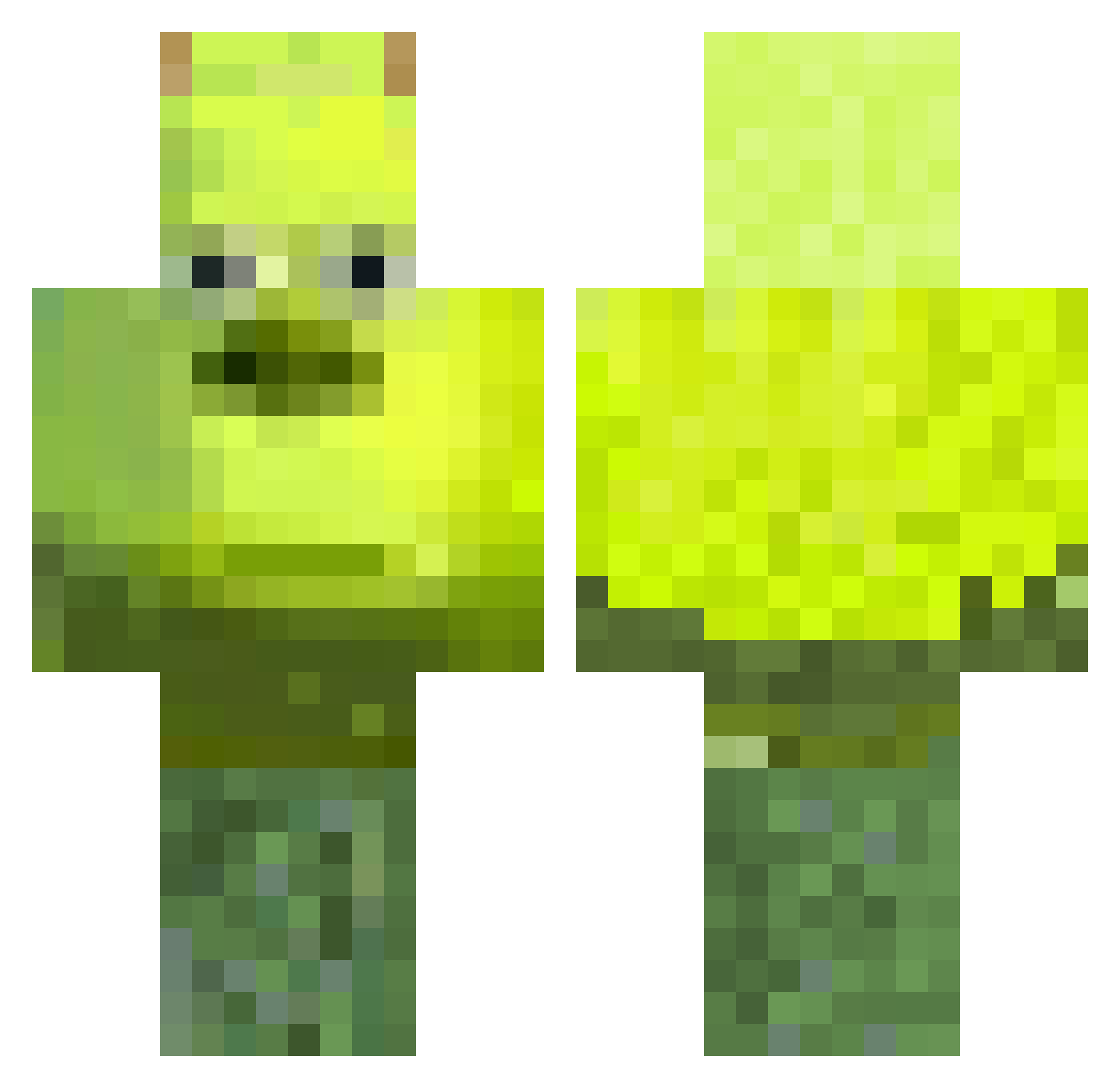 SE1GNEURJULI4NUS Minecraft skin, front and back view