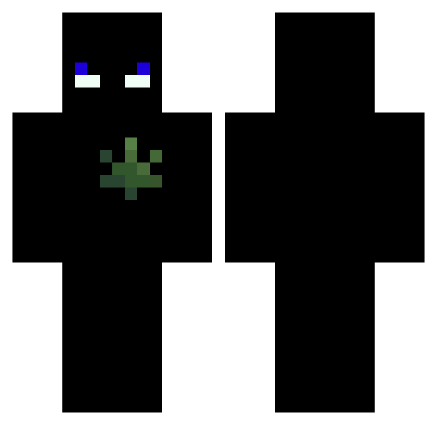 szmolebabole420 Minecraft skin, front and back view