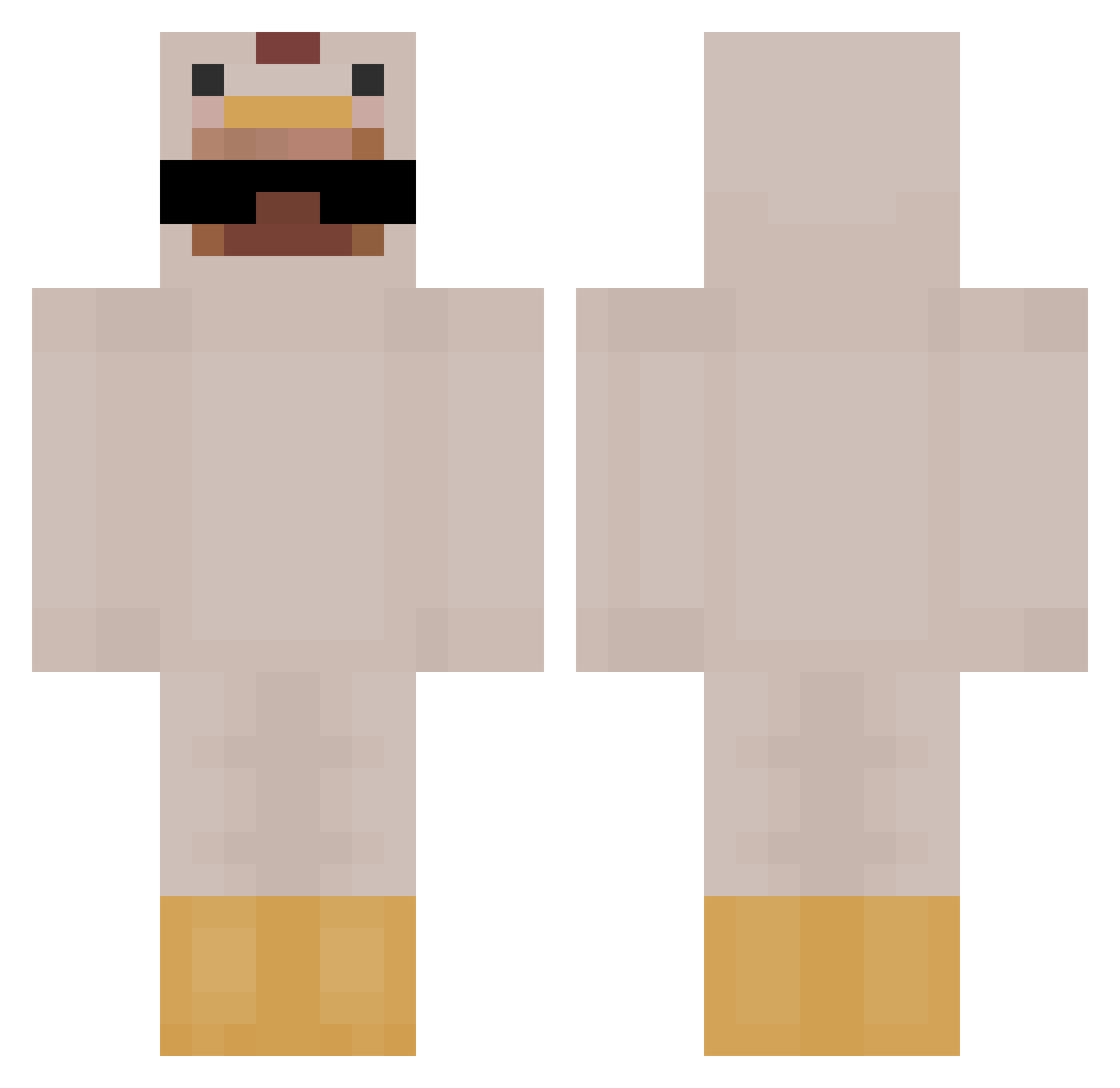 salsa545 Minecraft skin, front and back view