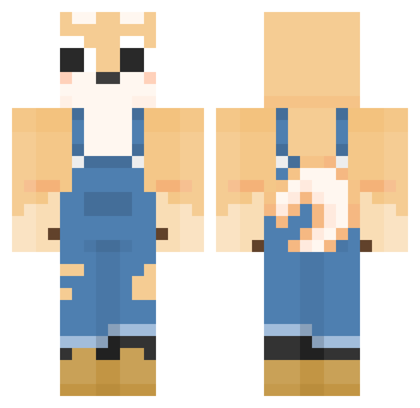 chihuahua1234 Minecraft skin, front and back view