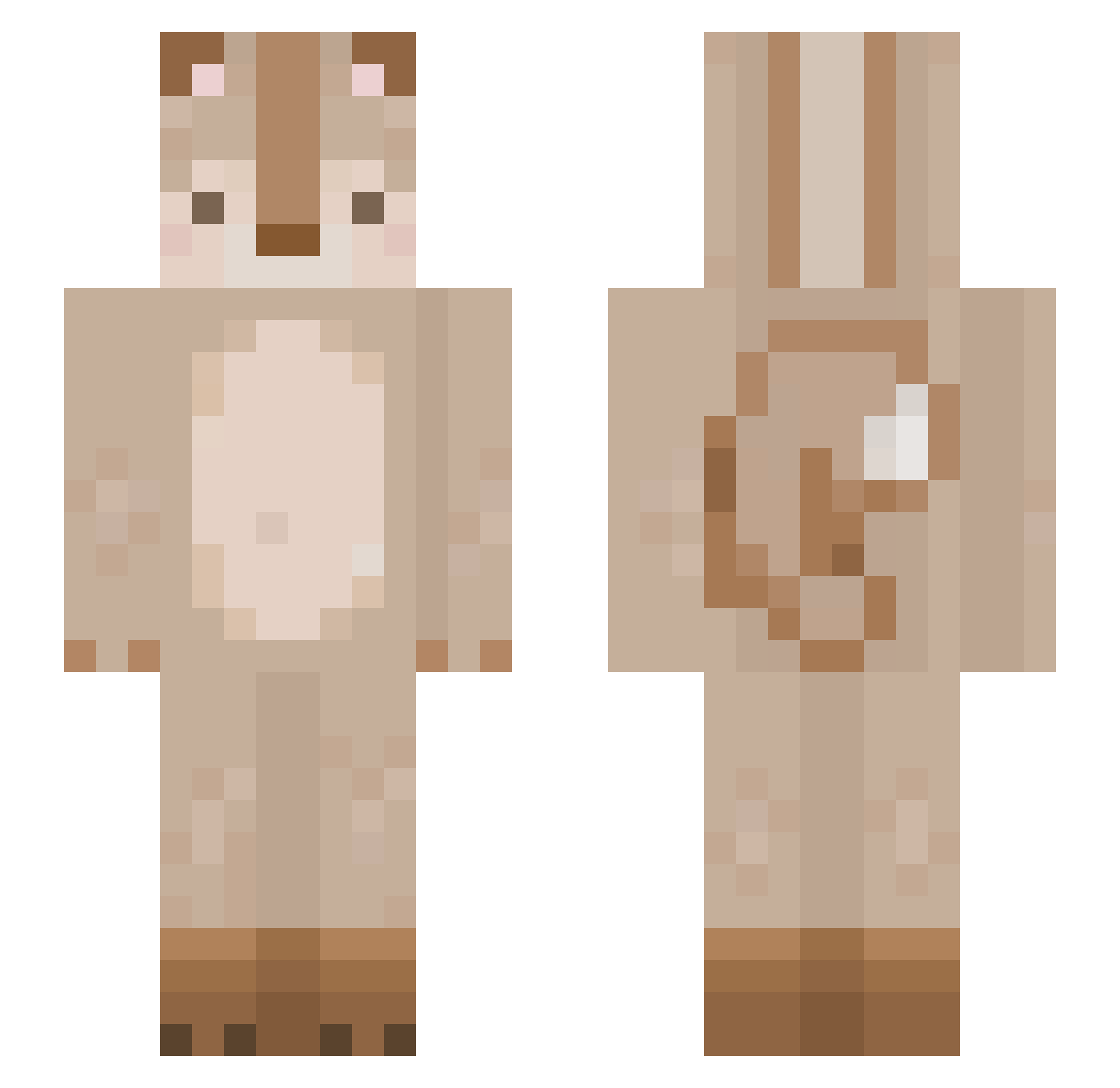dotorrii Minecraft skin, front and back view