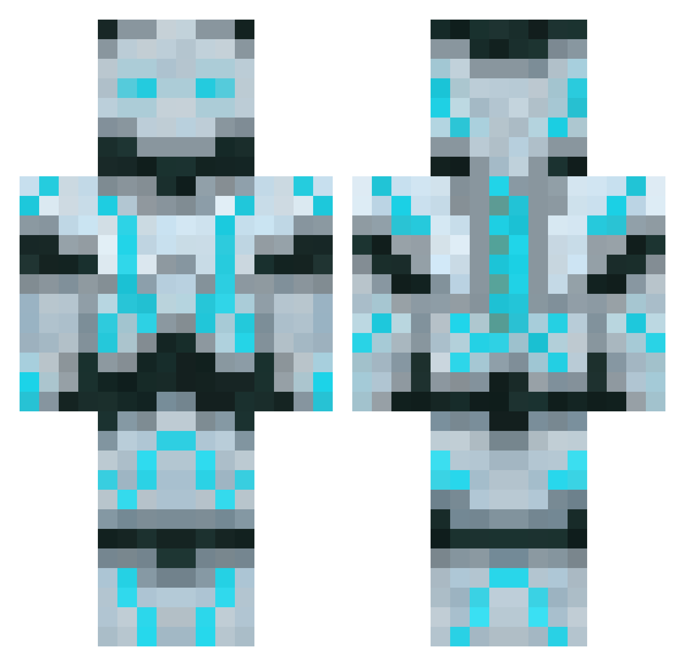Coexistence Minecraft skin, front and back view