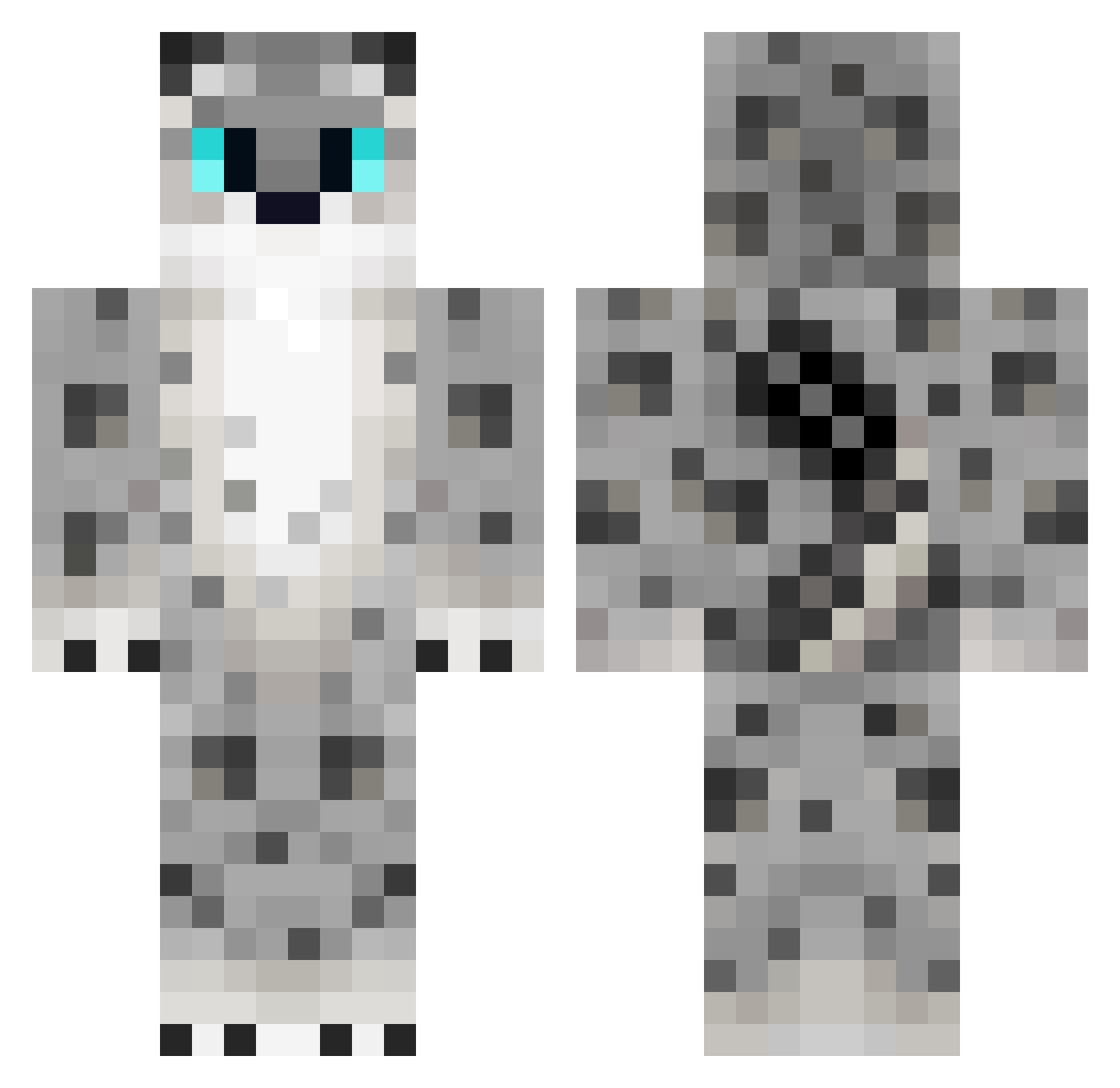 daniLOLZ Minecraft skin, front and back view